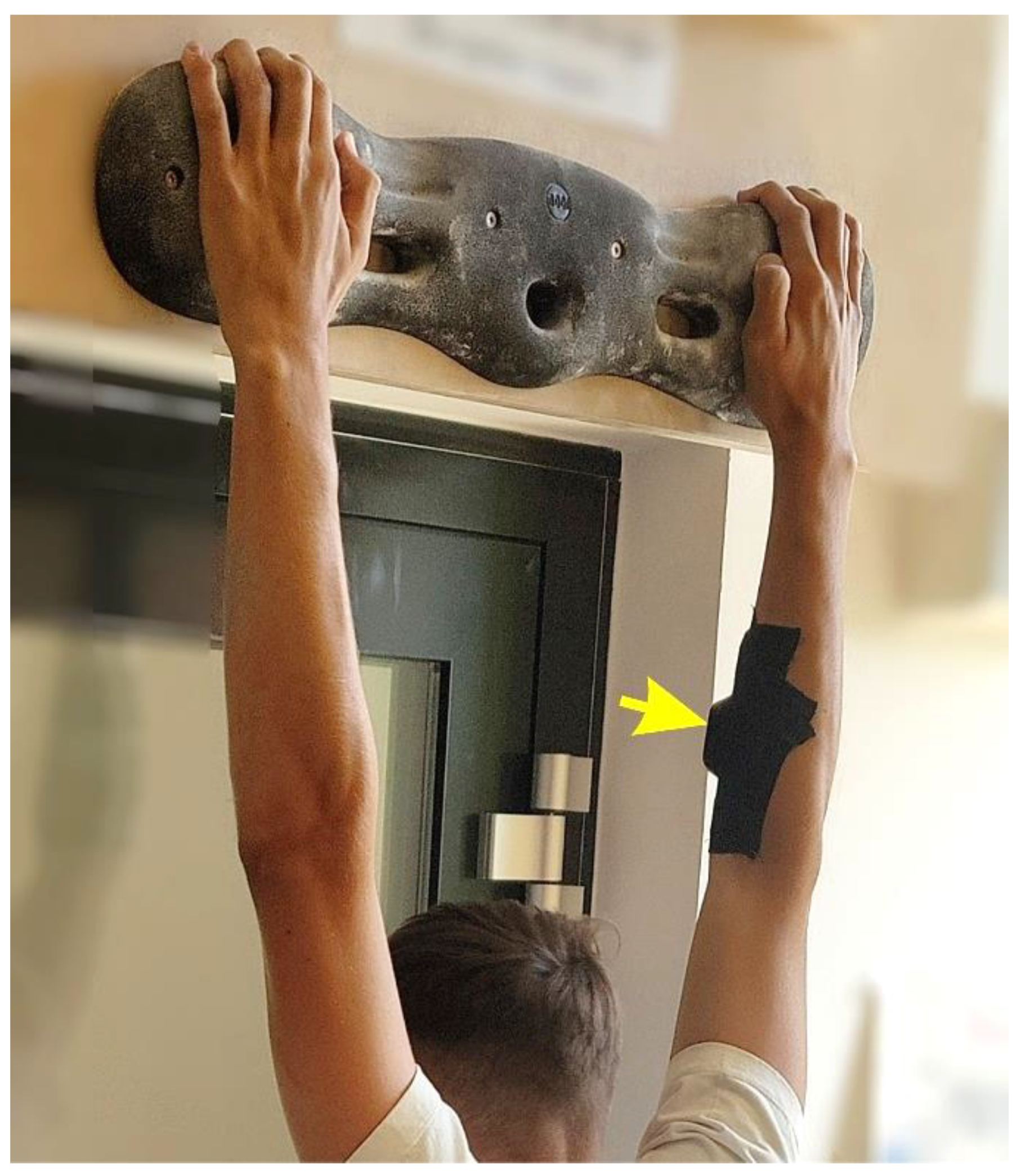 Sports 11 00037 g002