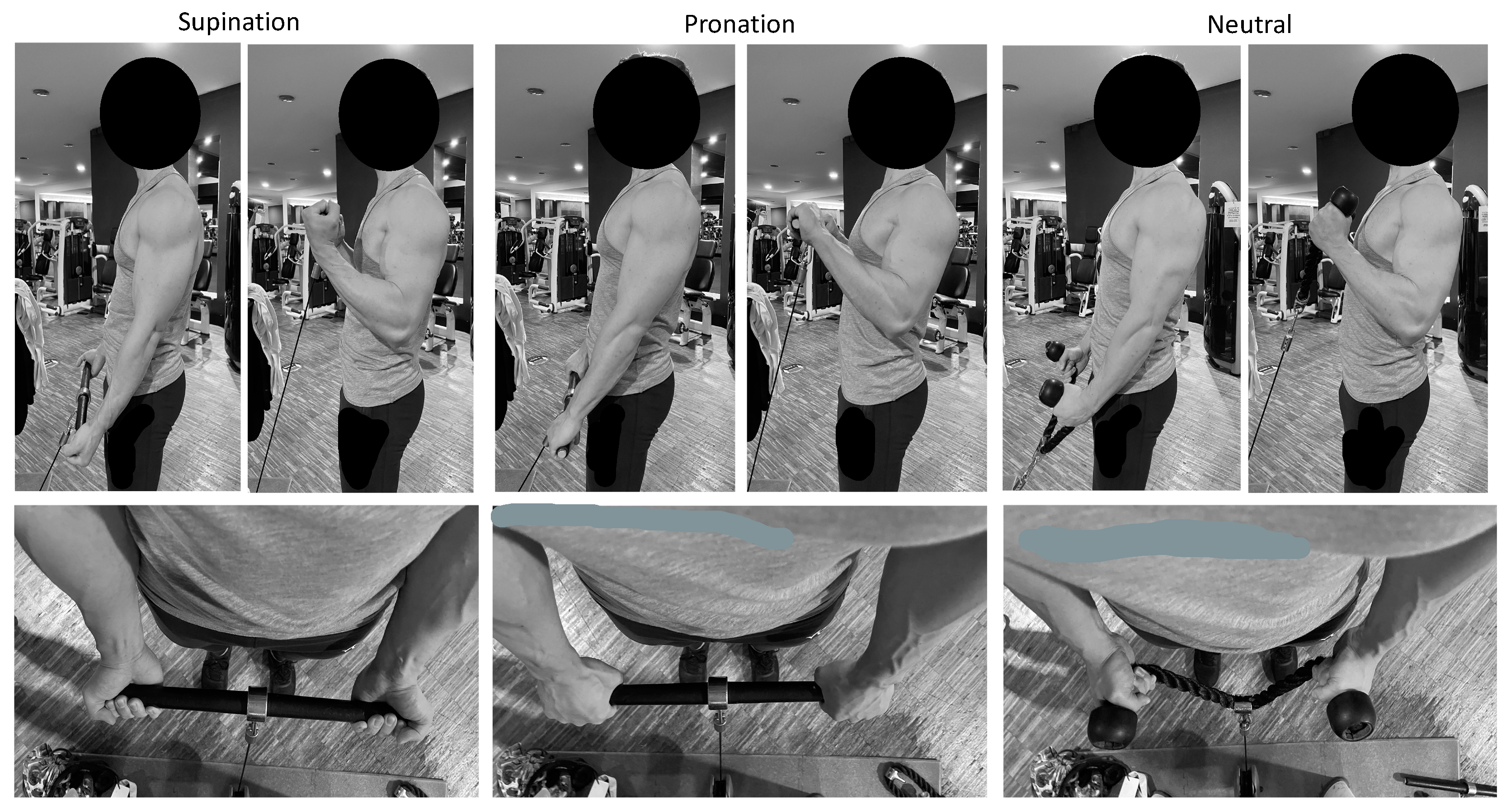 Sports 11 00064 g002