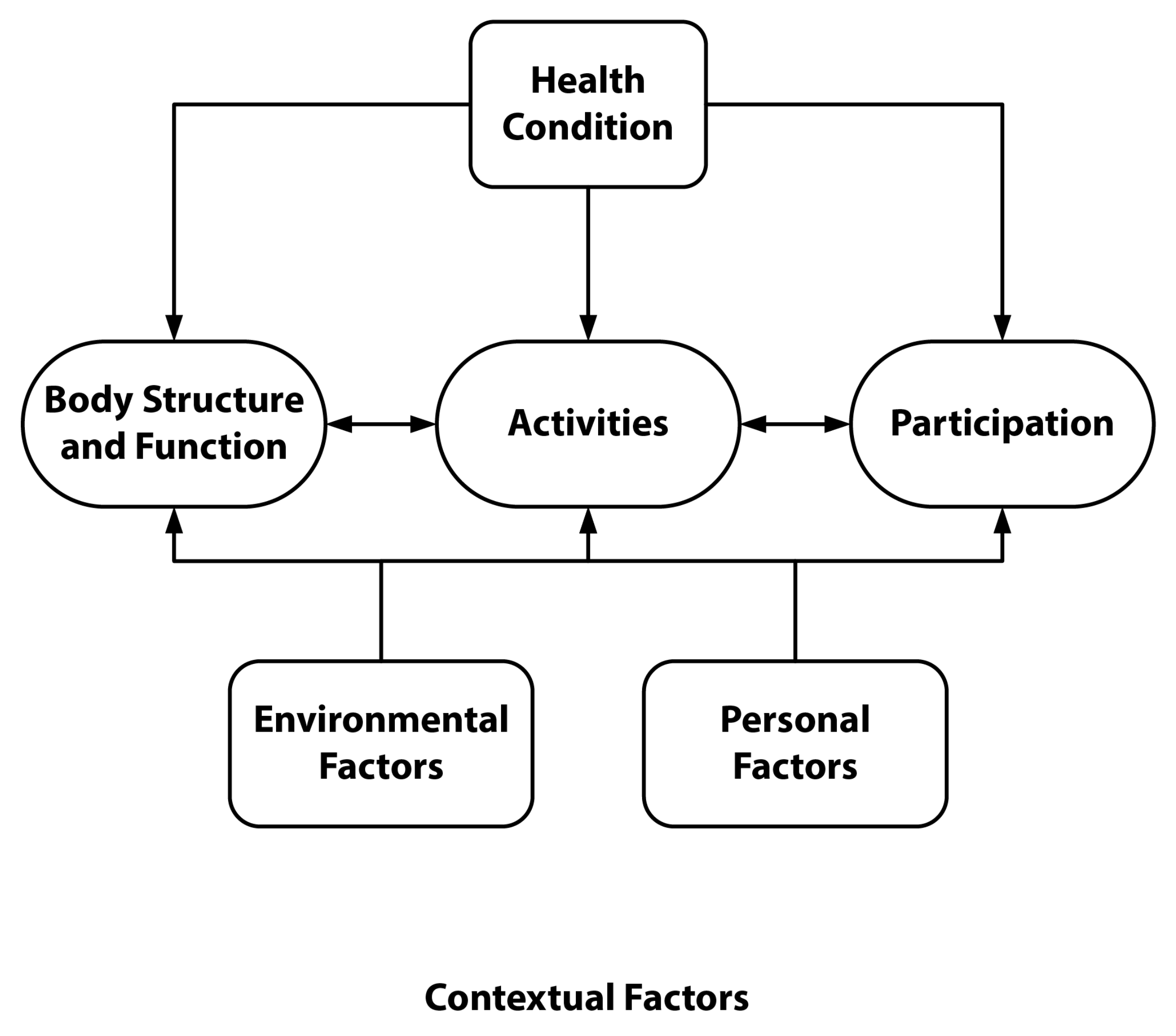 Sports 11 00116 g001