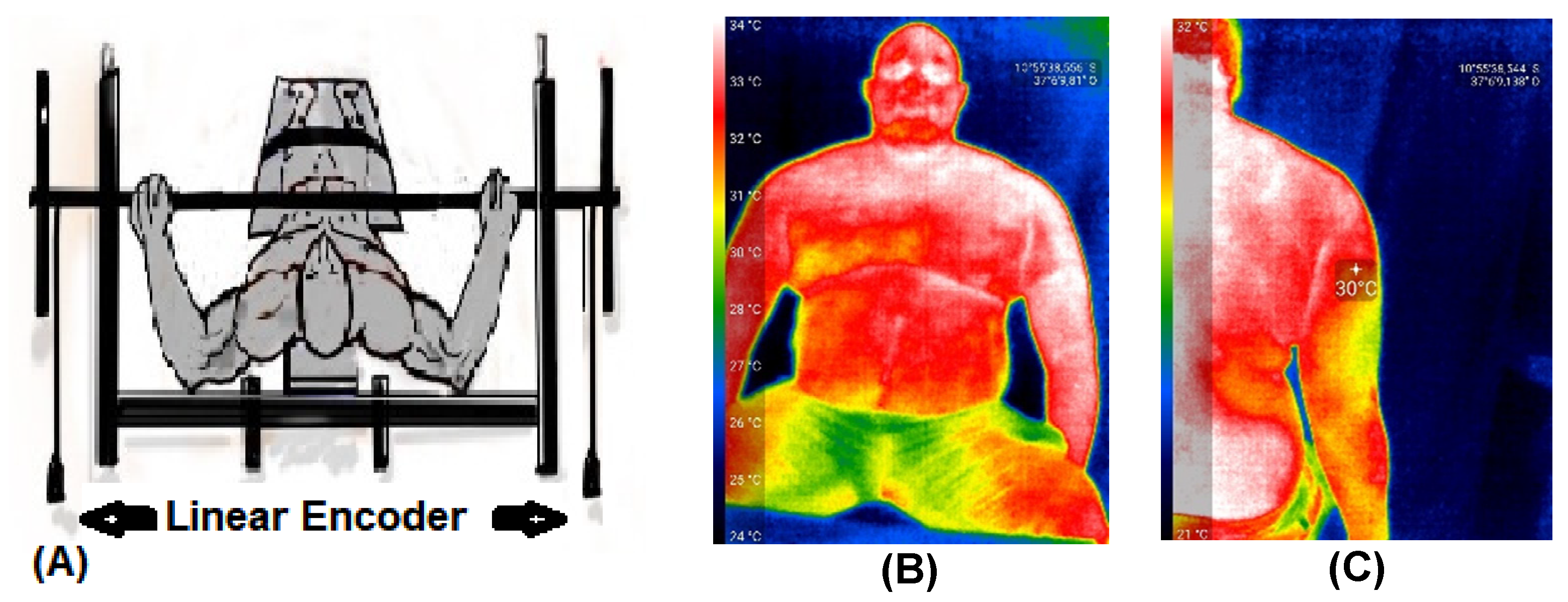 Sports 11 00151 g002