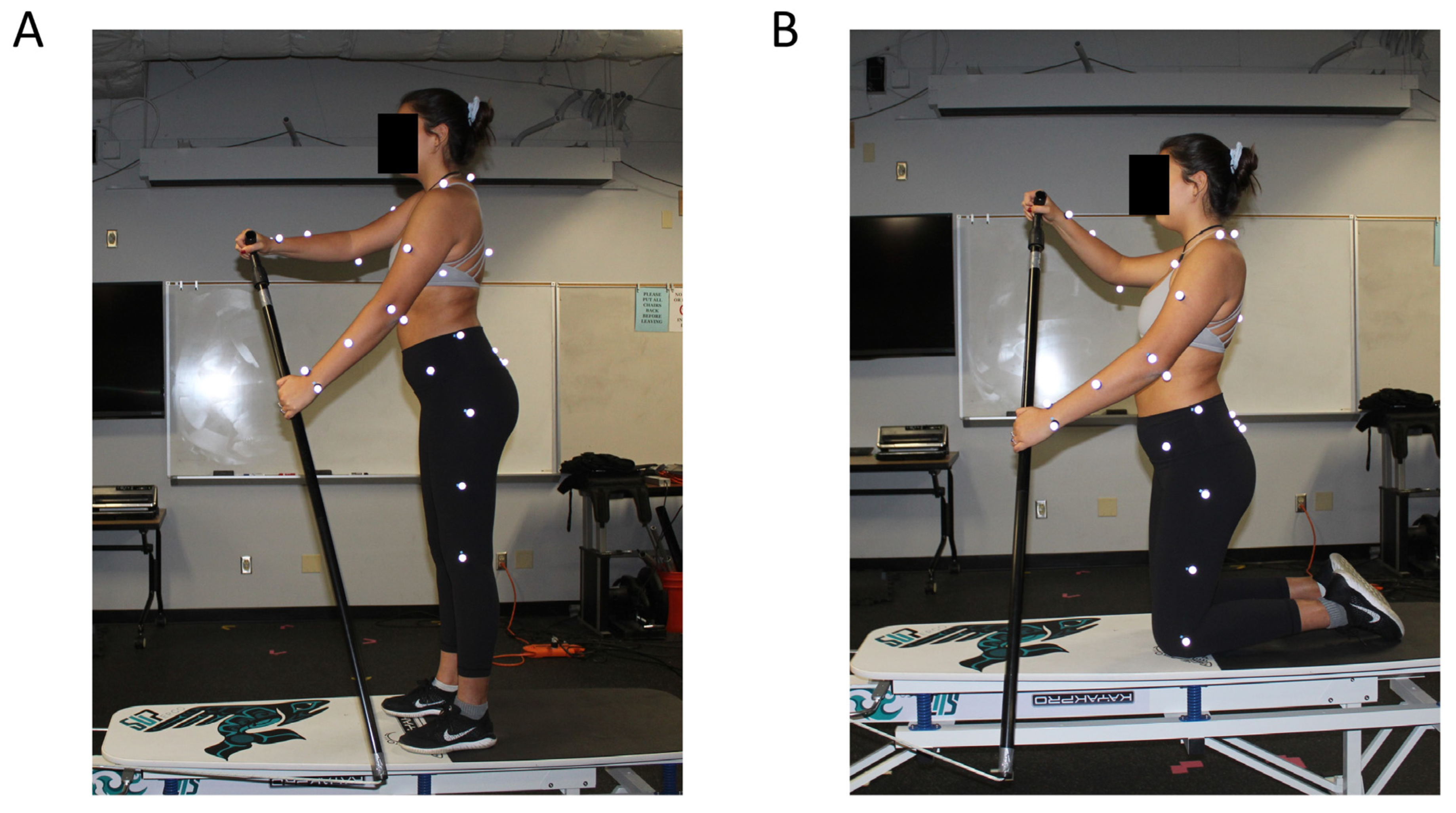 Sports 11 00152 g001