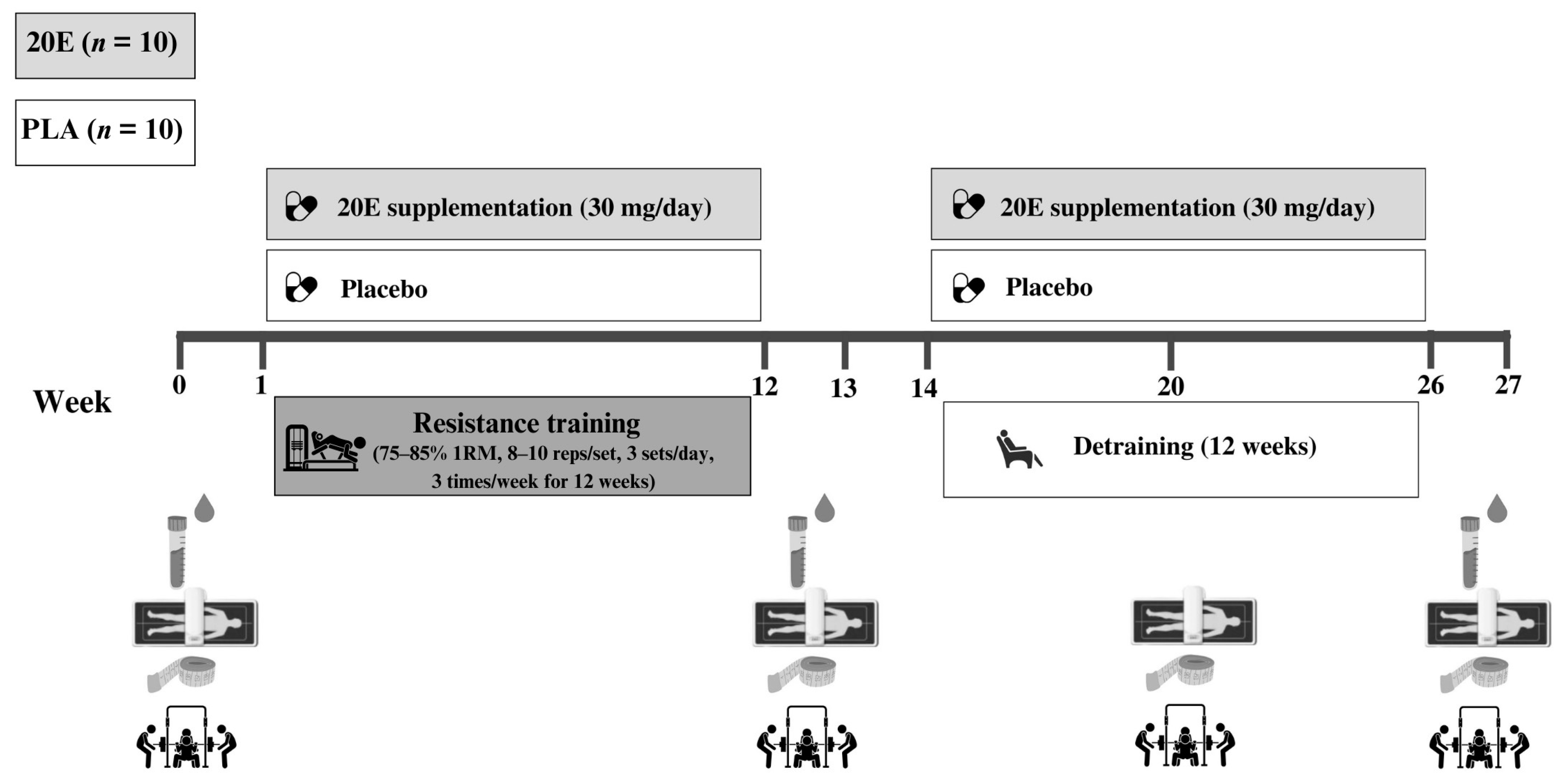 Sports 11 00175 g001