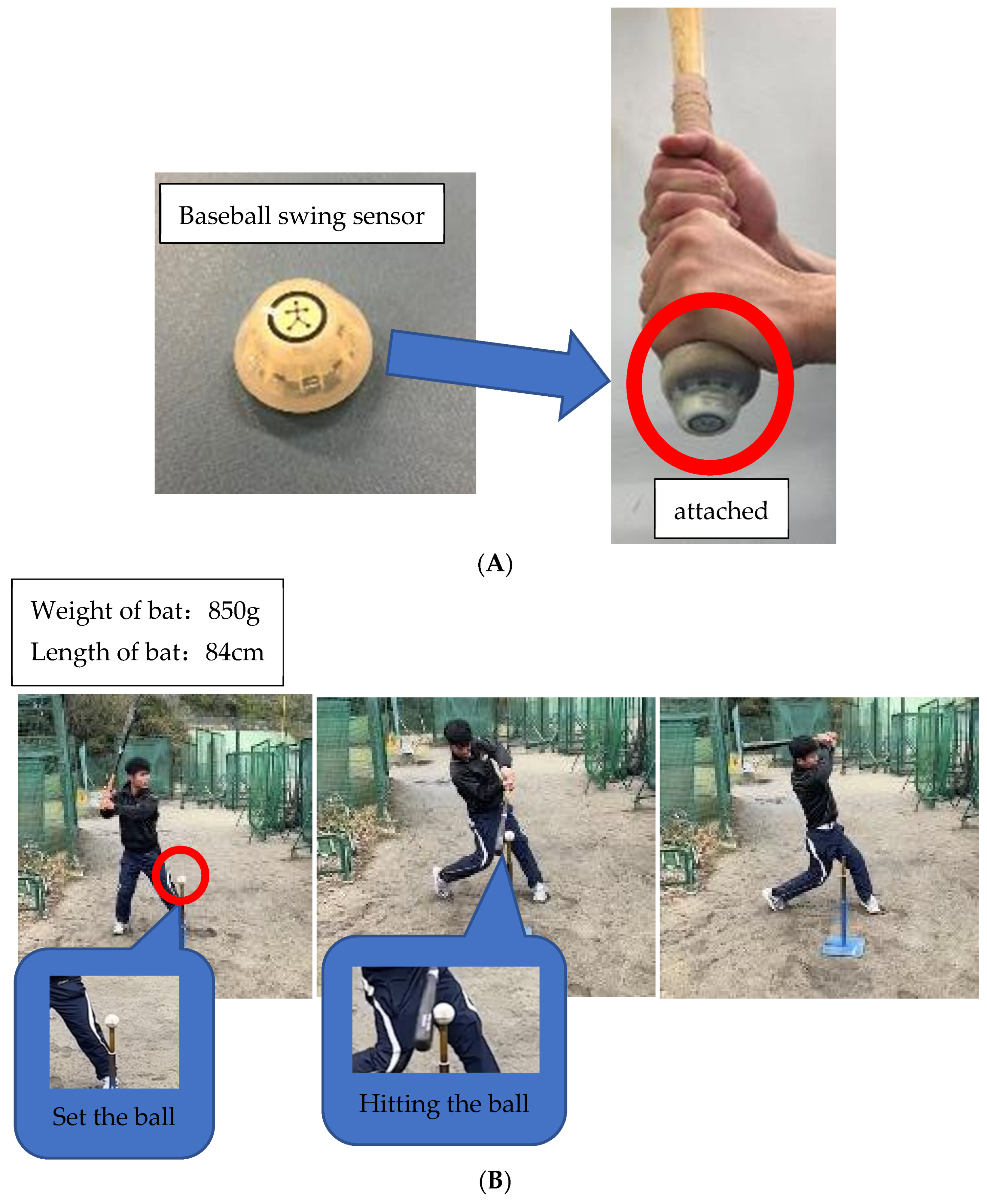 Sports 11 00202 g001