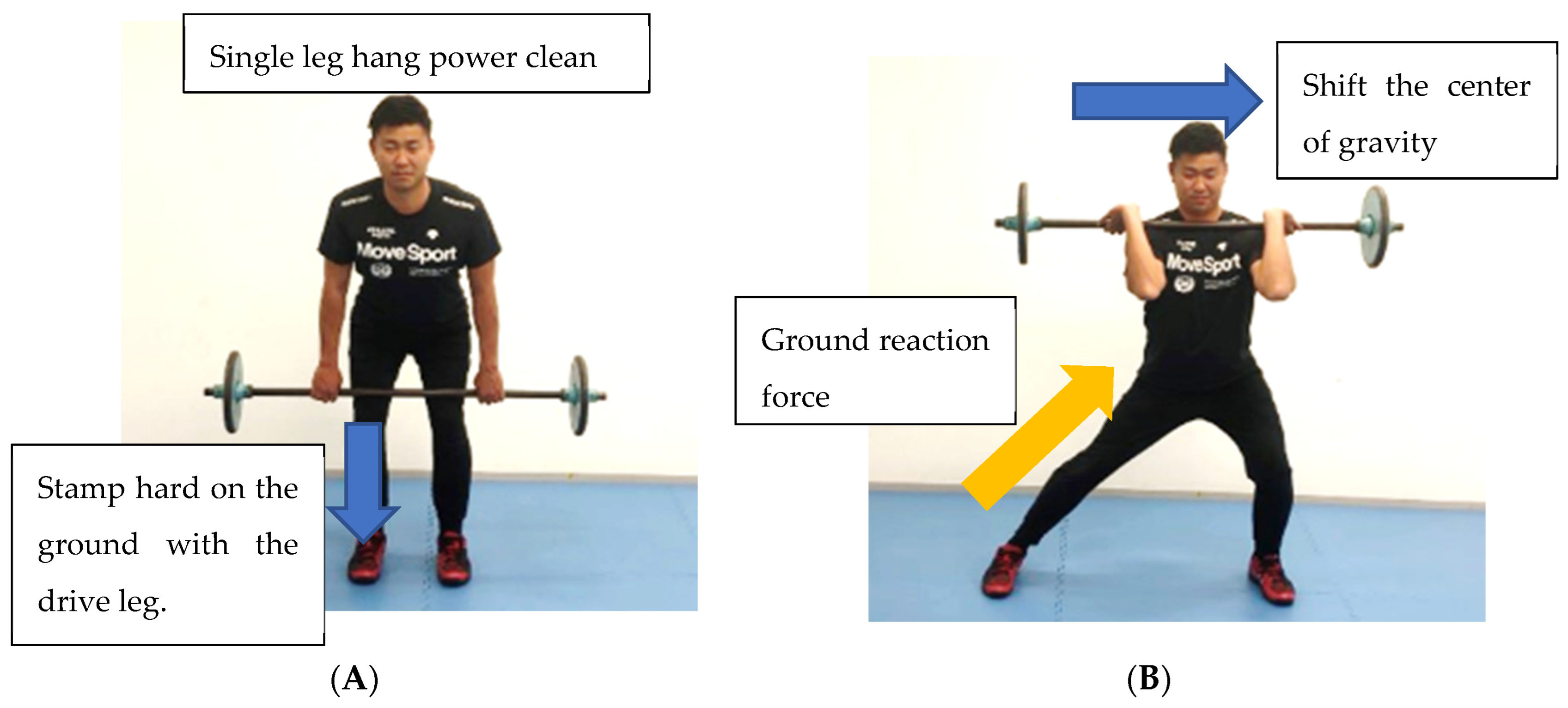 Sports 11 00202 g007