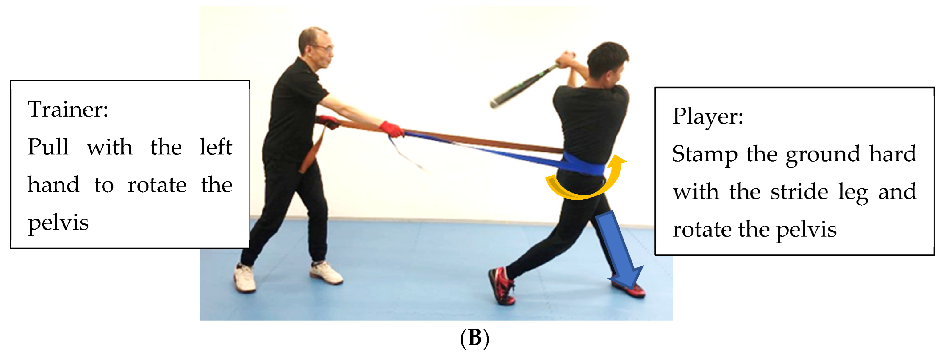 Sports 11 00202 g008b