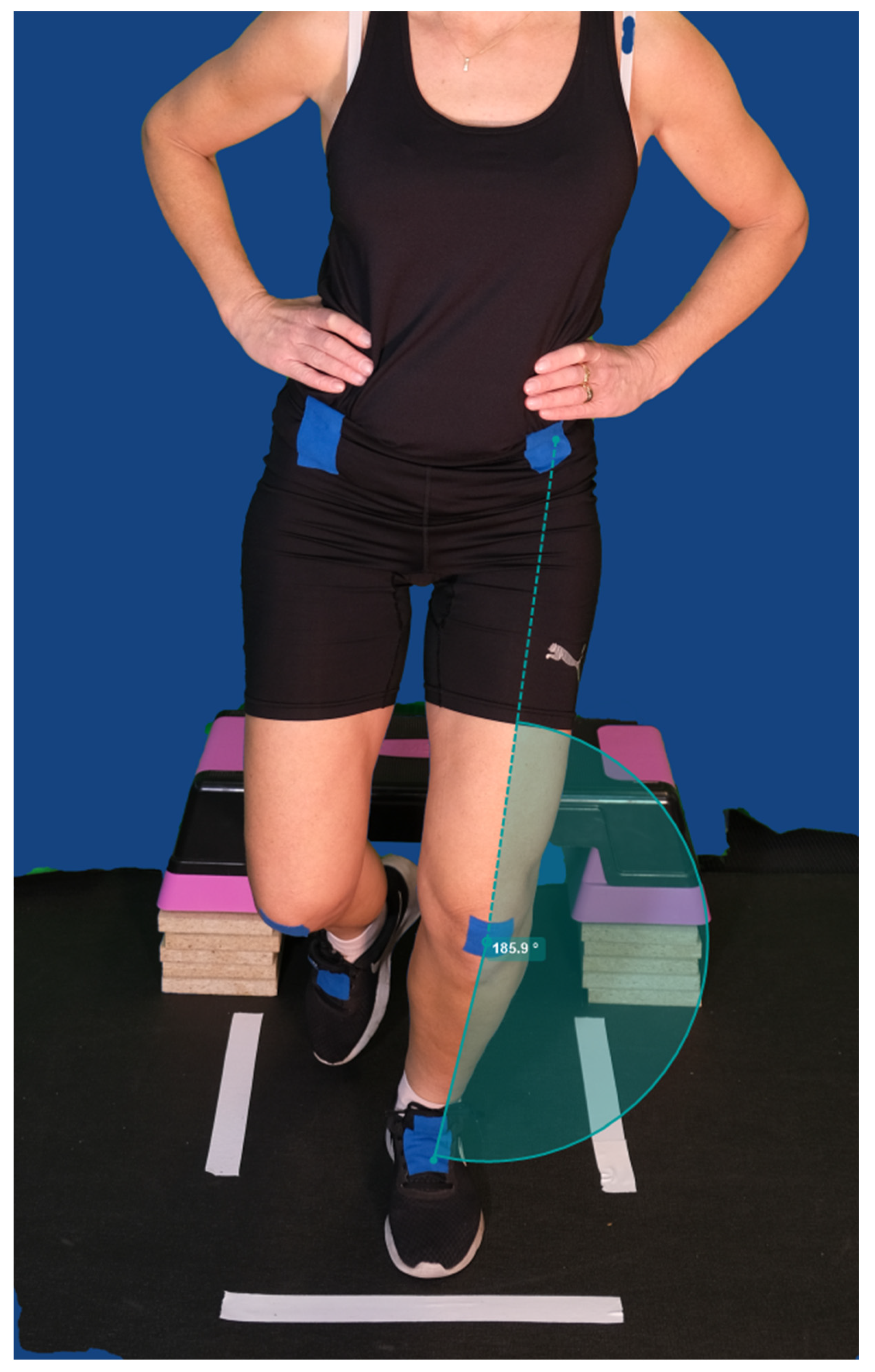 Sports 11 00236 g001