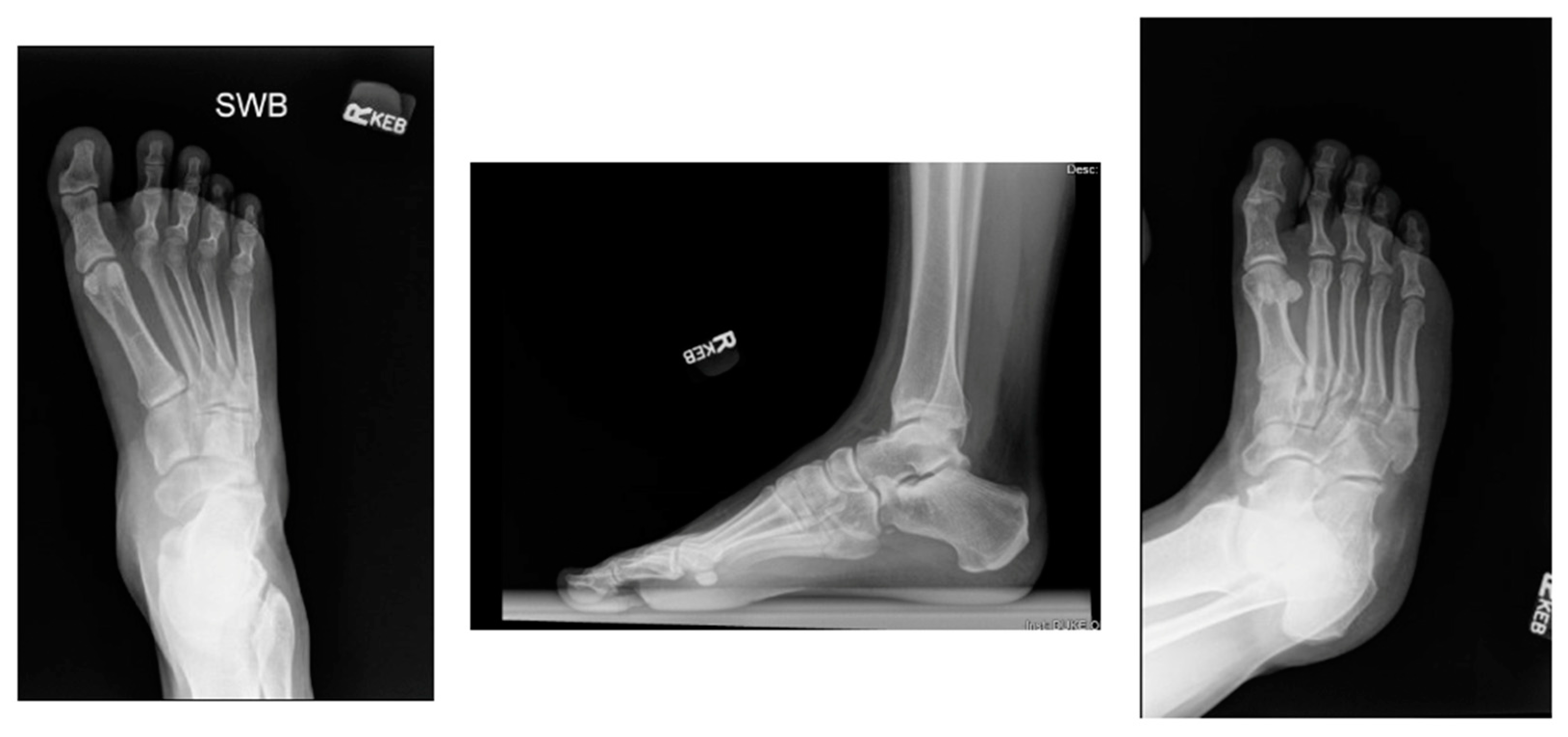 Sports 12 00007 g003