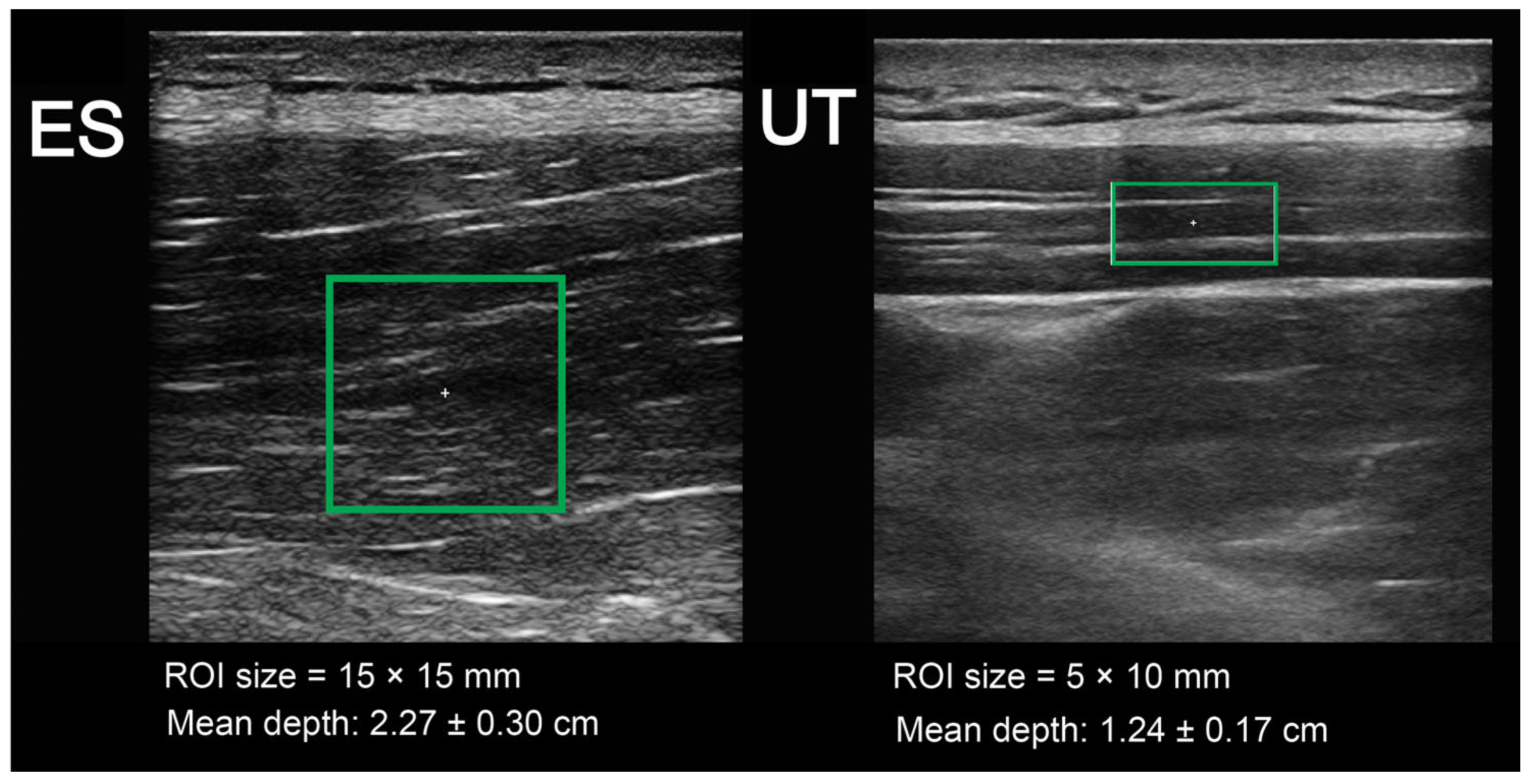 Sports 12 00026 g002