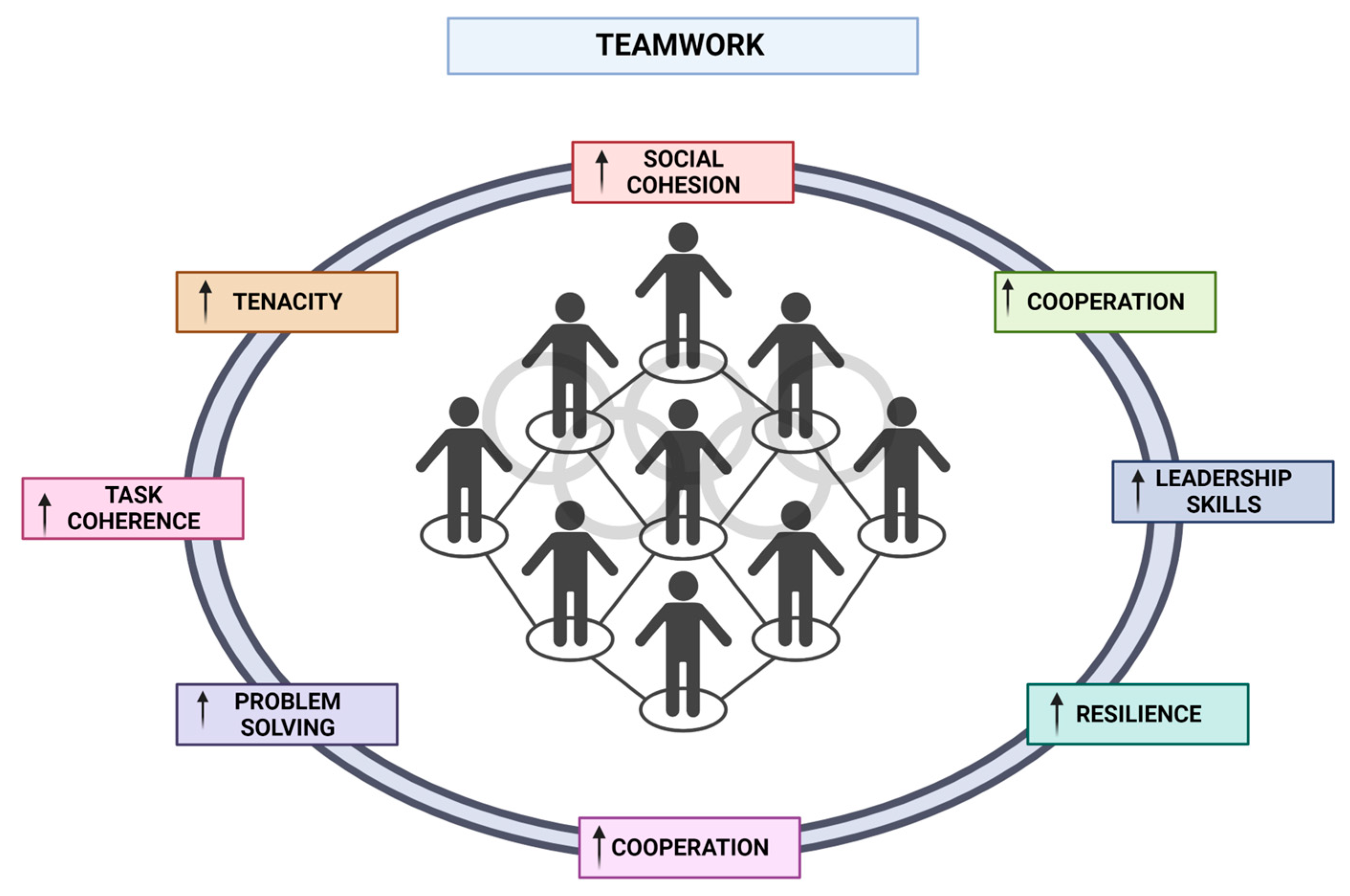 Sports 12 00037 g002