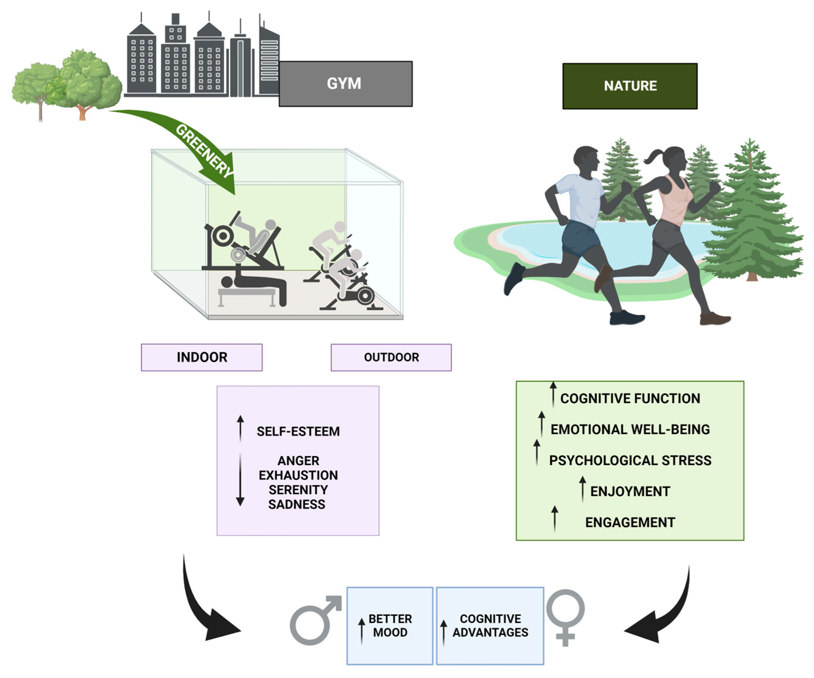 Sports 12 00037 g003