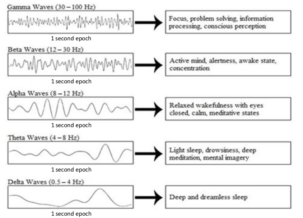 Sports 12 00070 g001