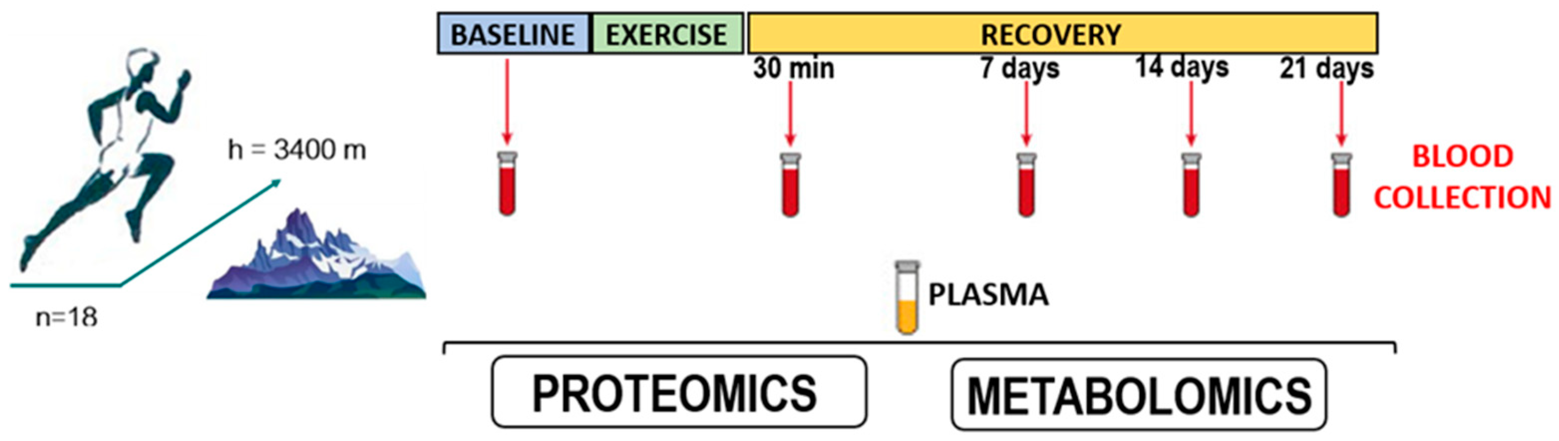 Sports 12 00072 g001