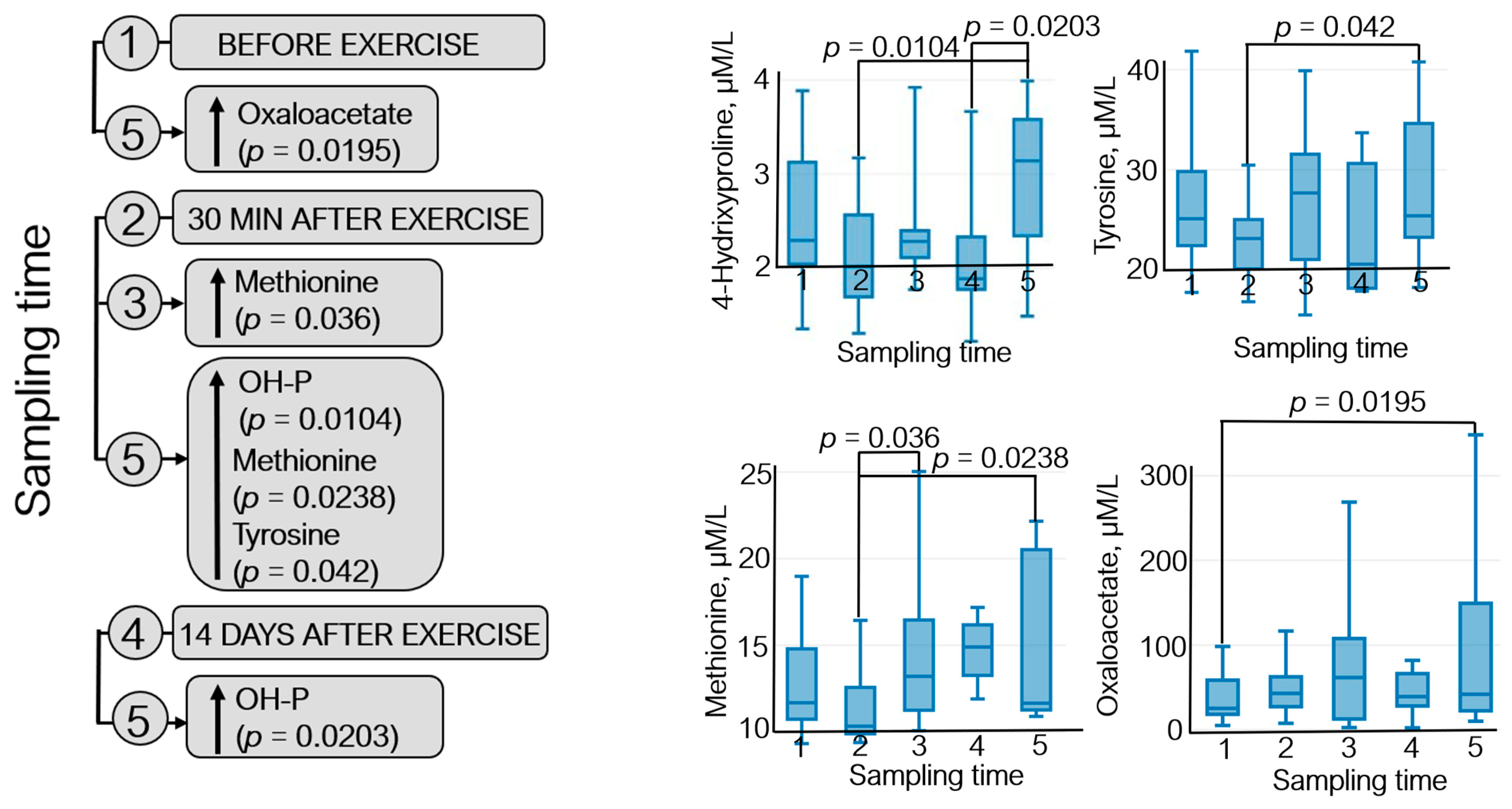 Sports 12 00072 g005