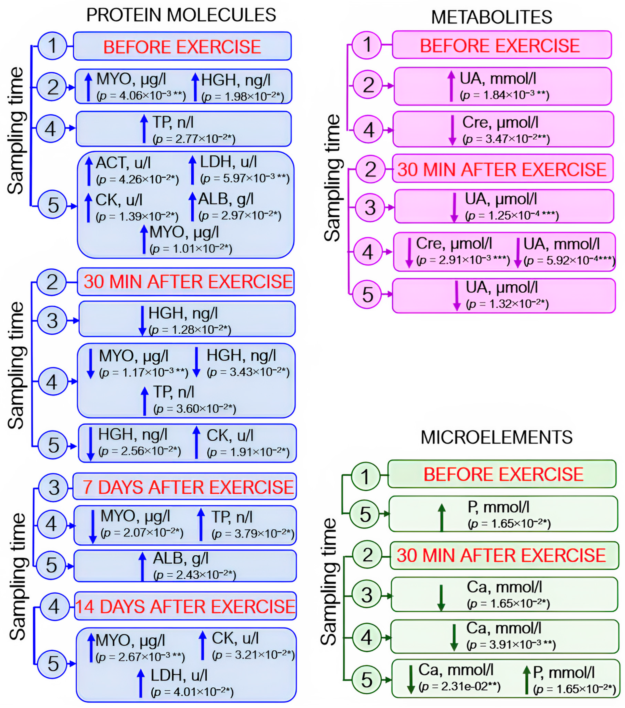 Sports 12 00072 g006