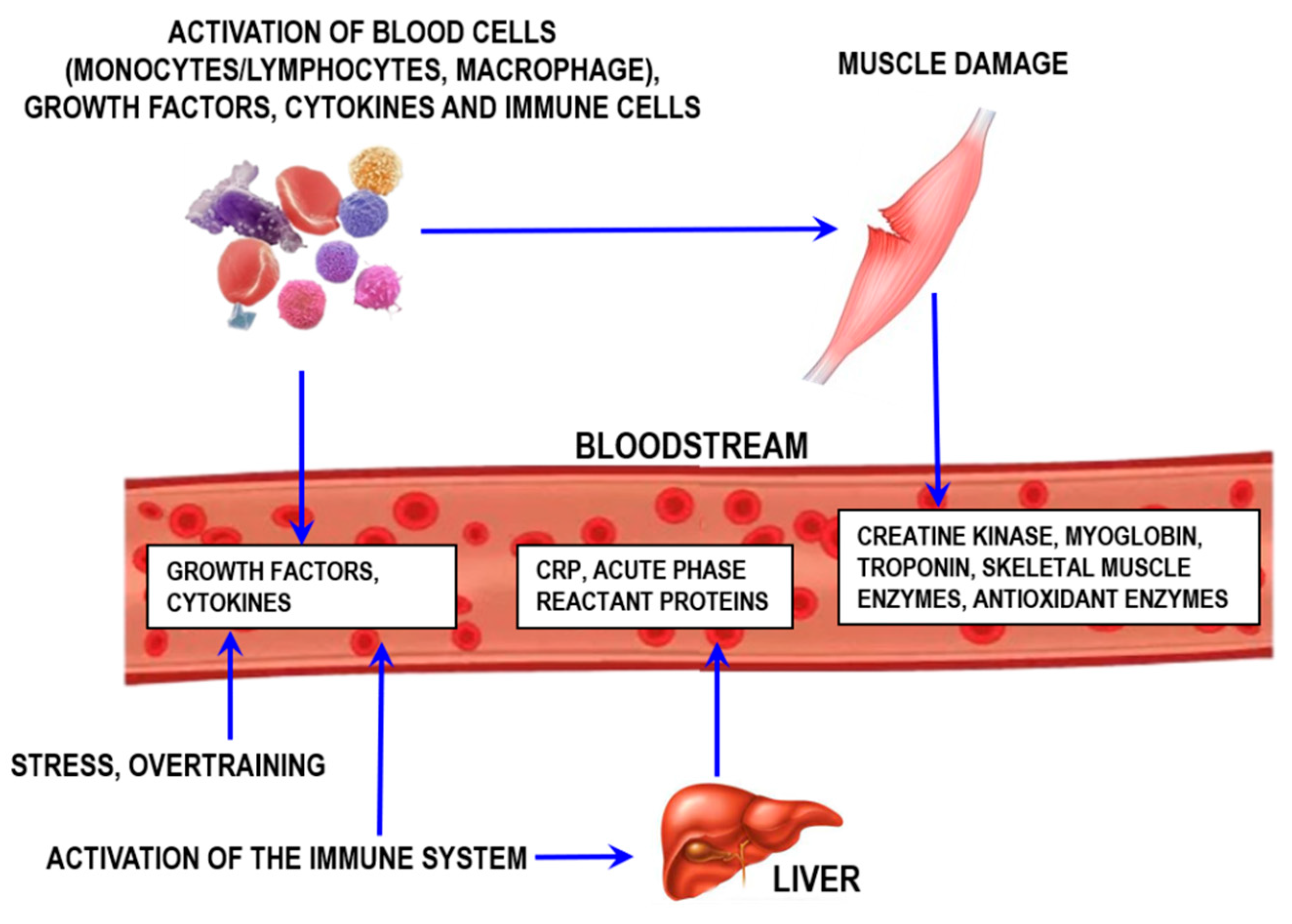 Sports 12 00072 g010