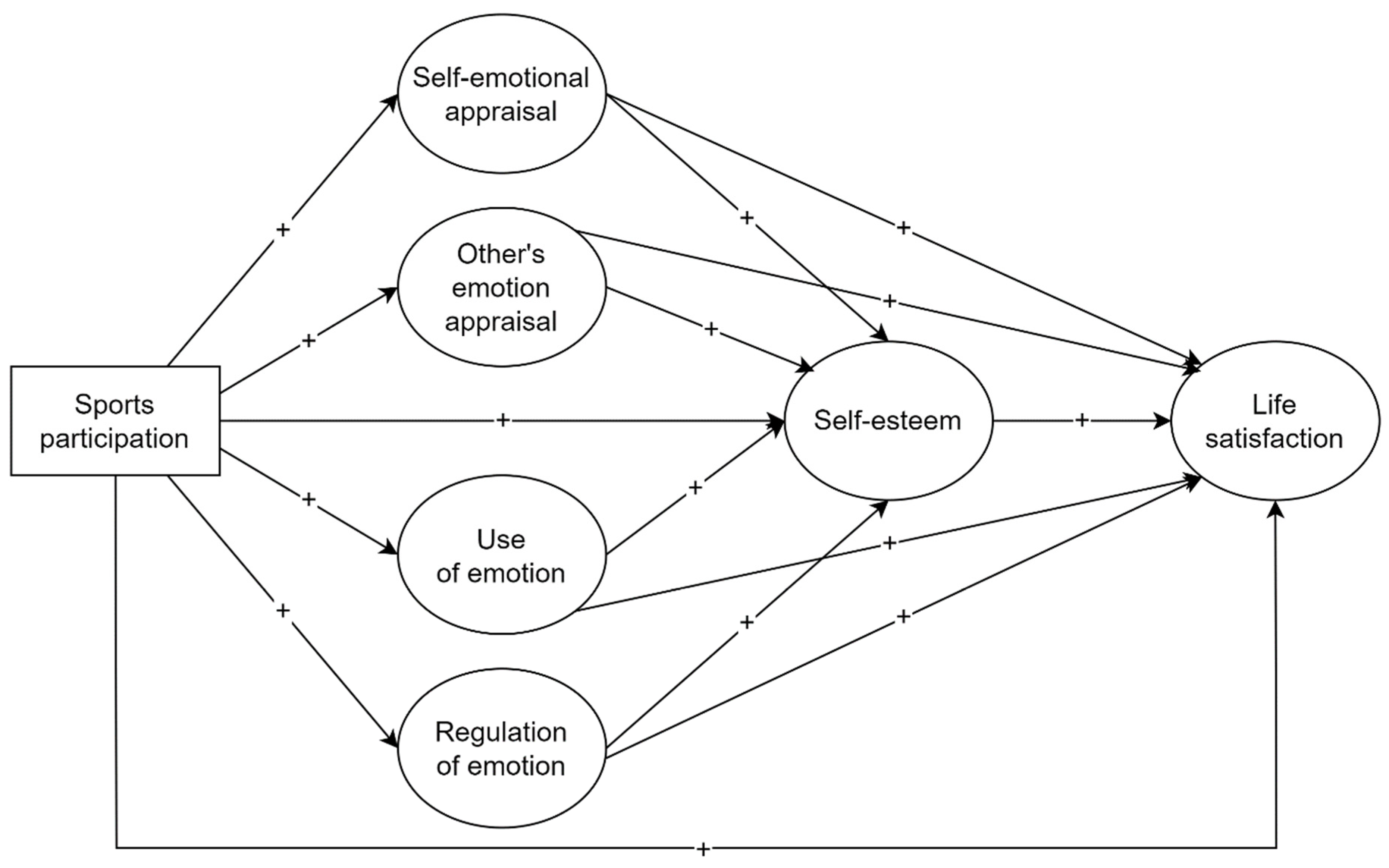 Sports 12 00155 g001