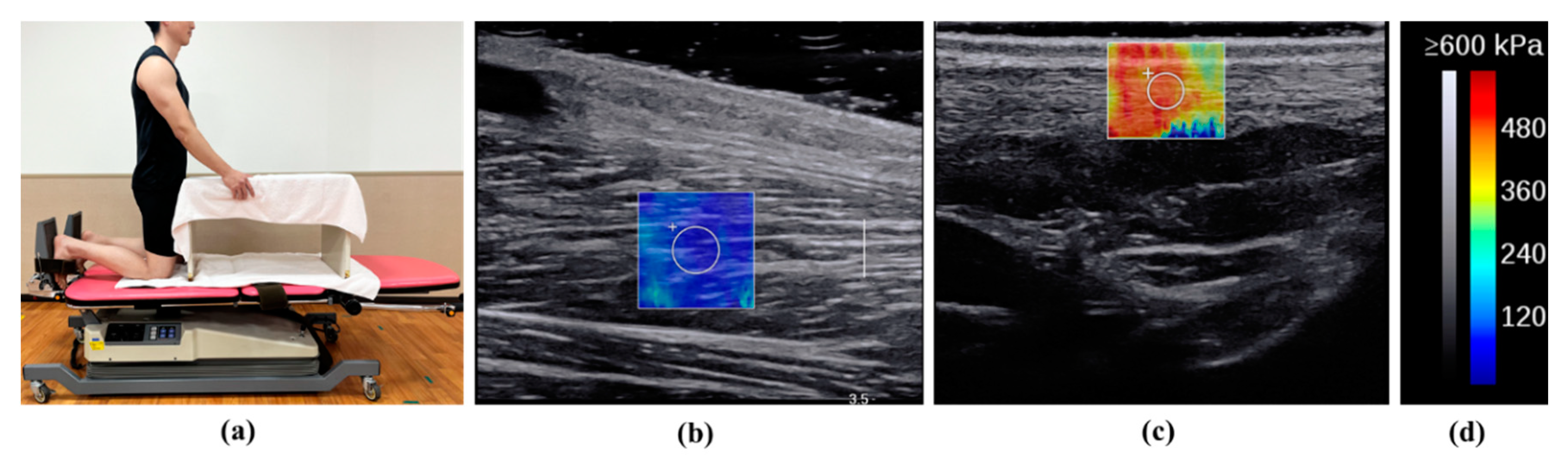 Sports 12 00165 g002