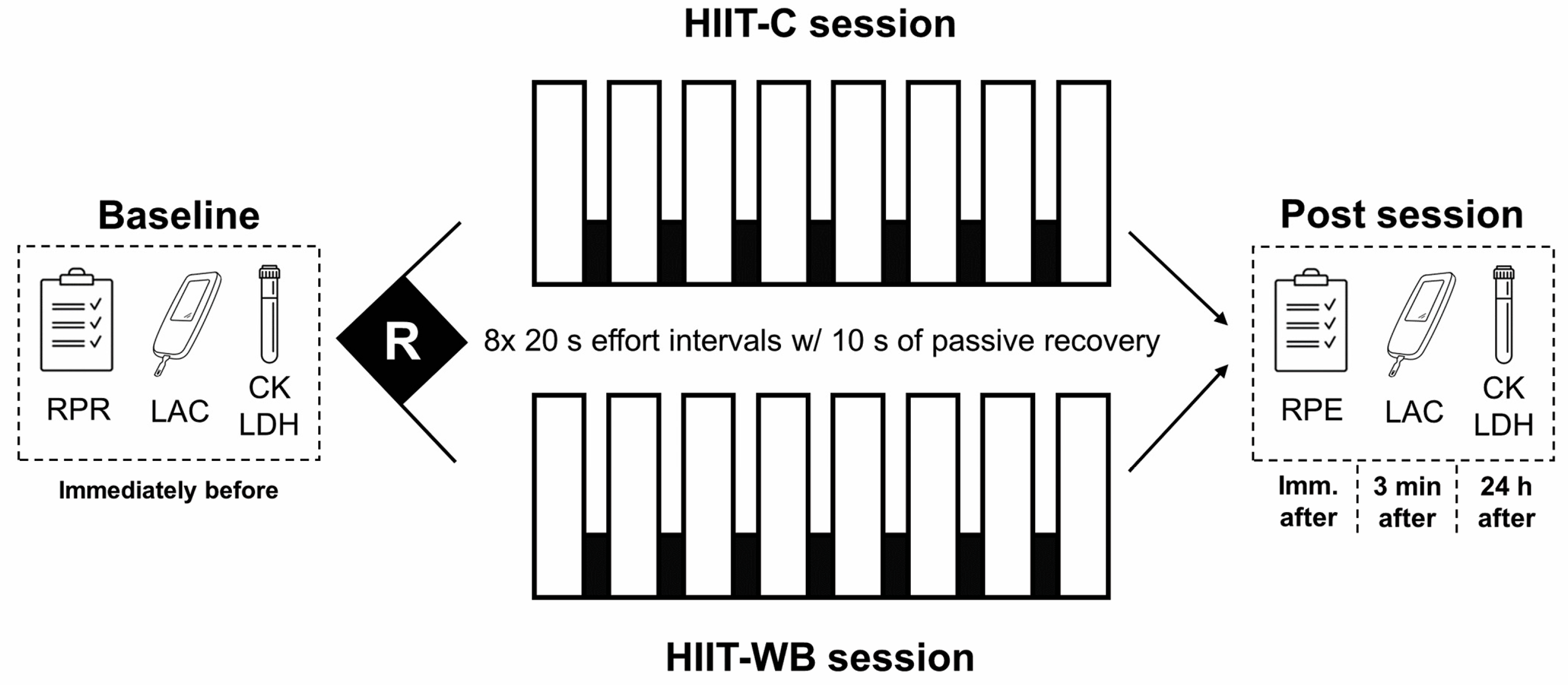 Sports 12 00166 g001
