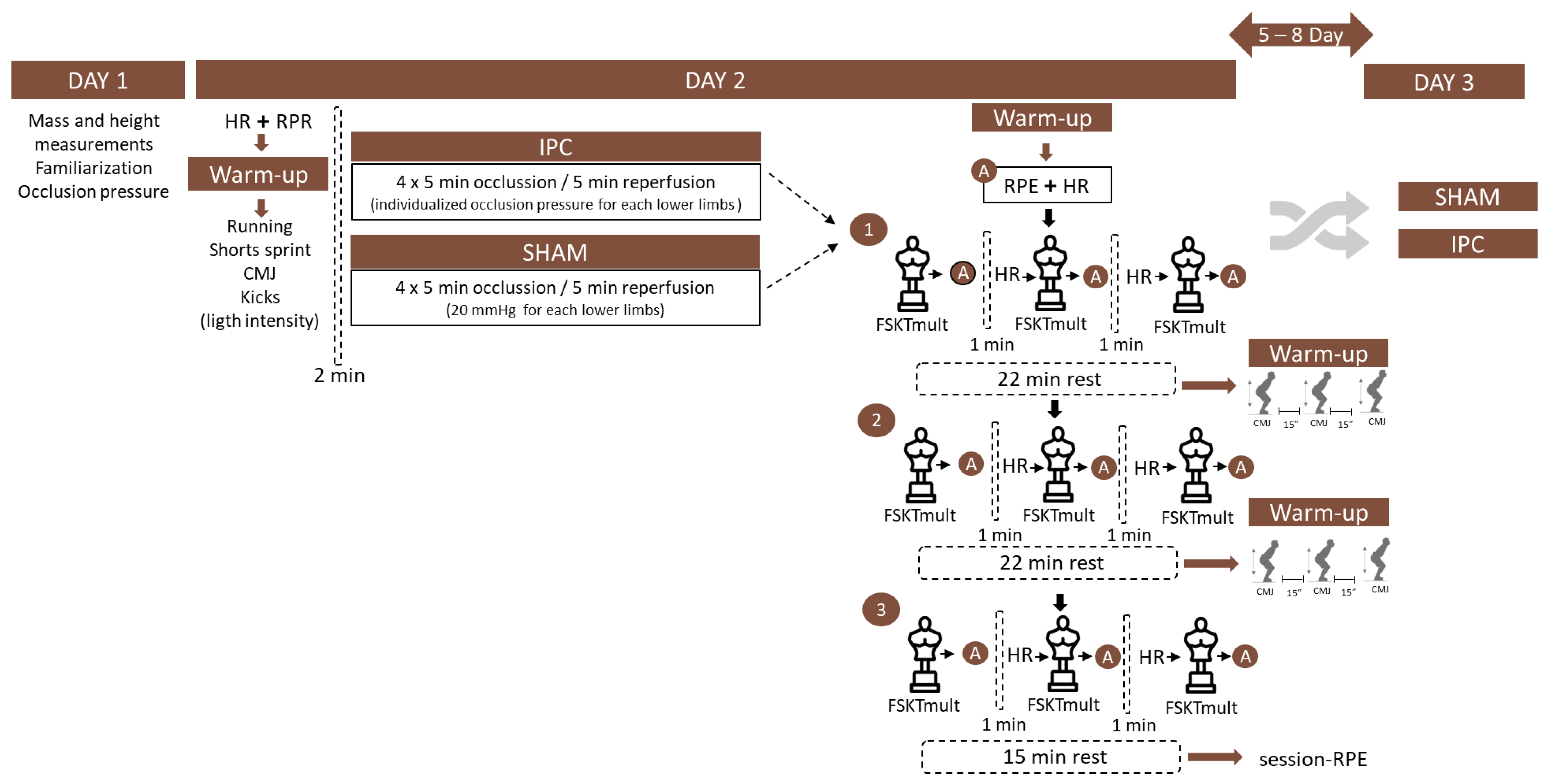 Sports 12 00179 g002