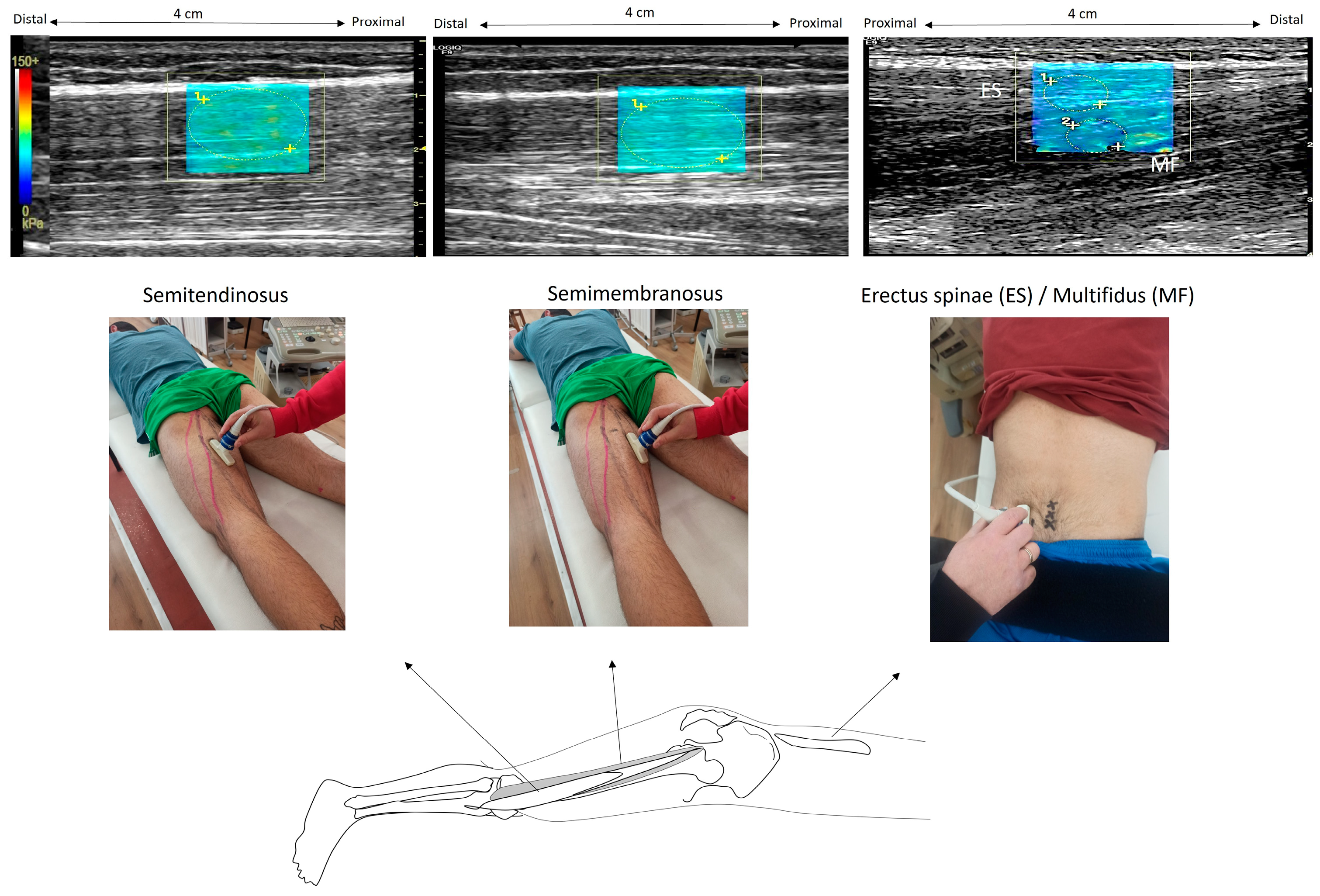 Sports 12 00199 g001