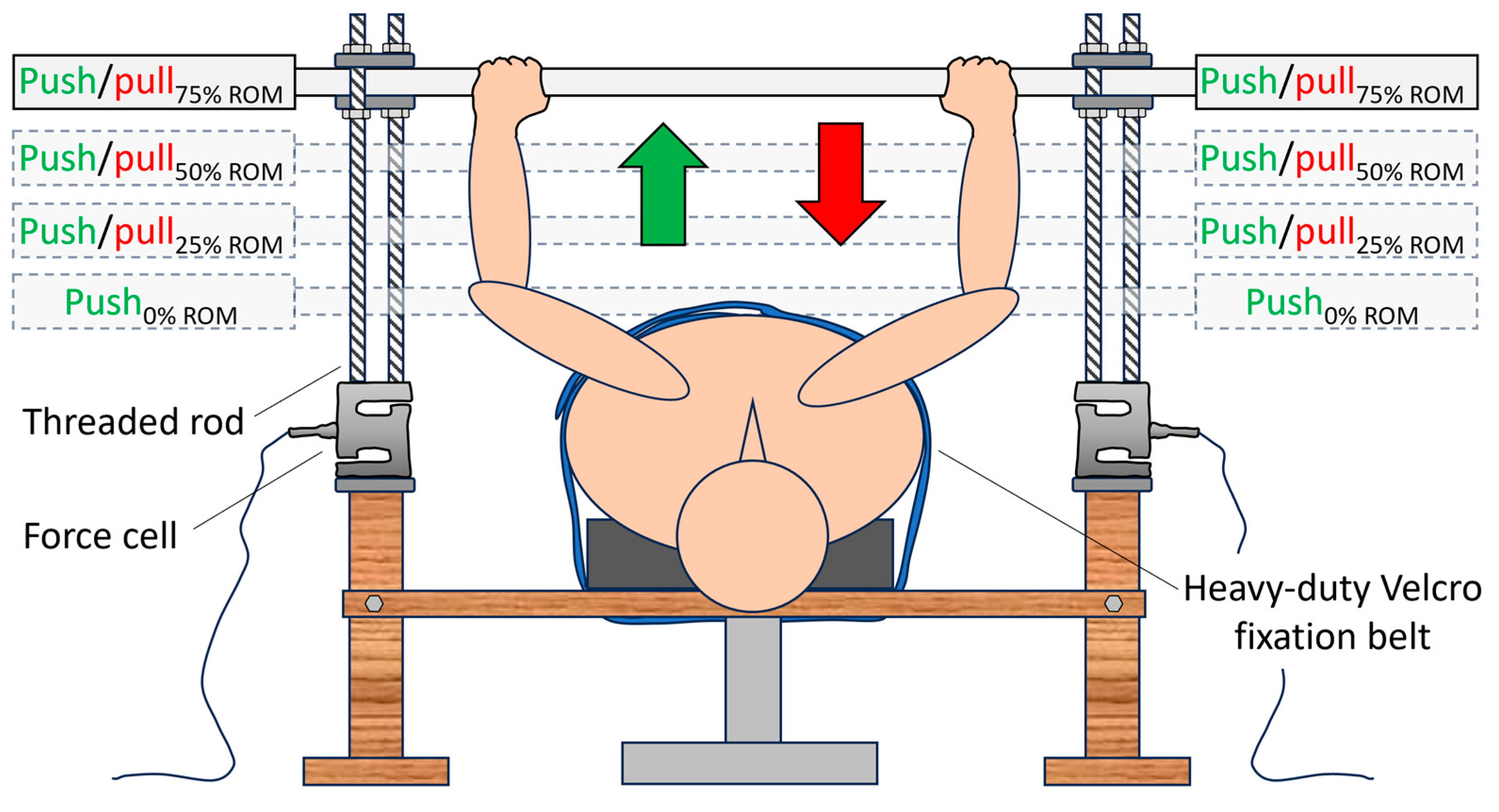 Sports 12 00201 g001