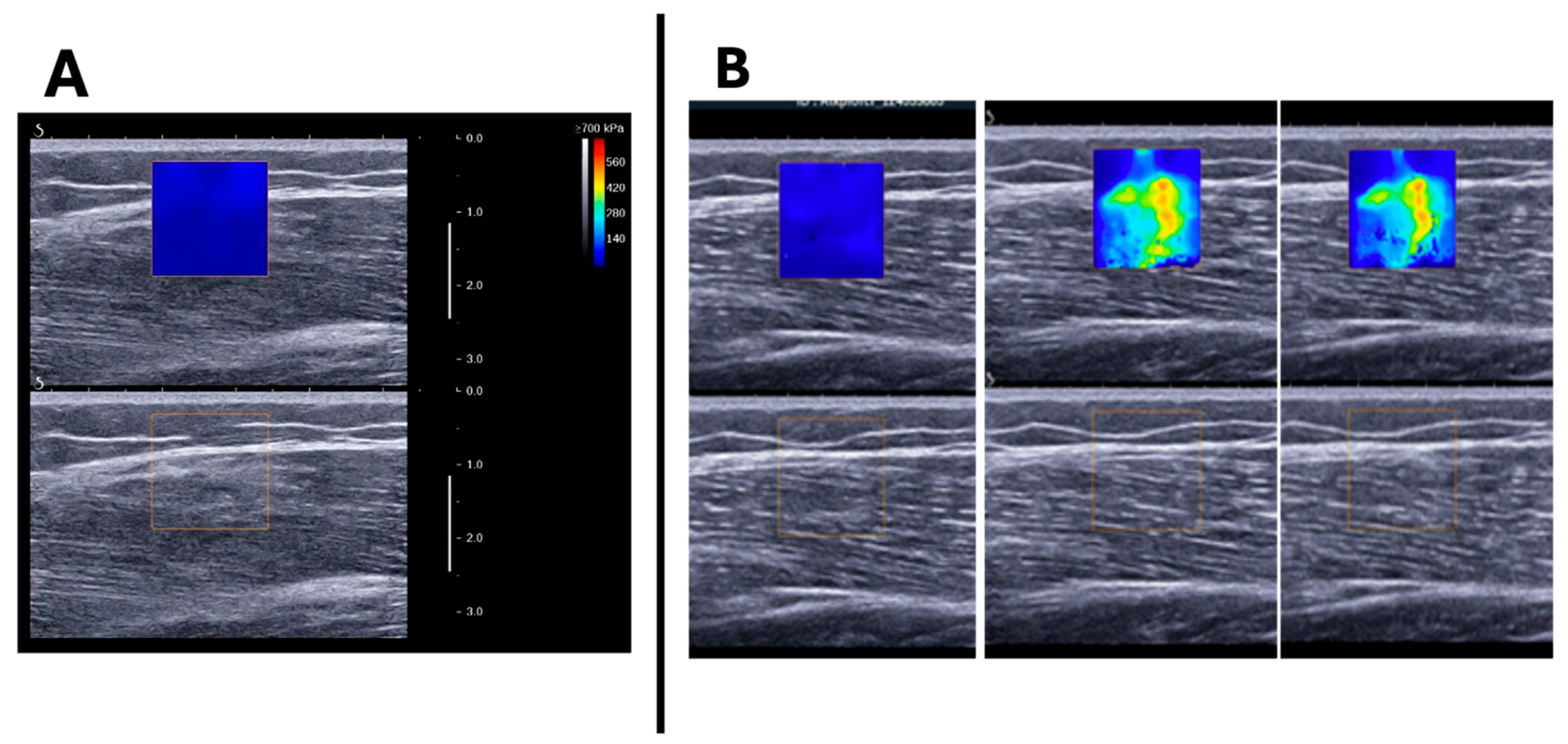 Sports 12 00211 g003