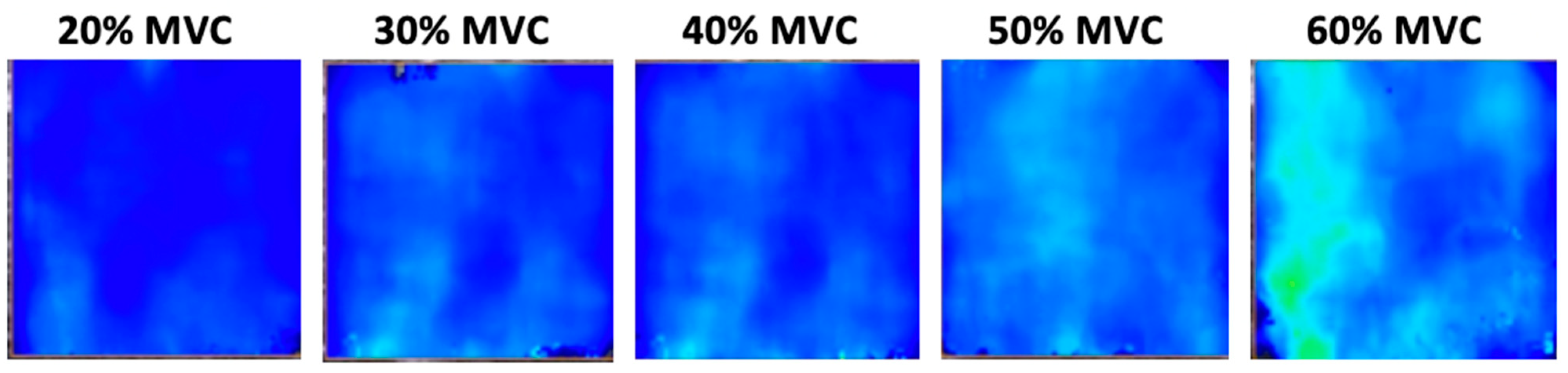 Sports 12 00211 g004