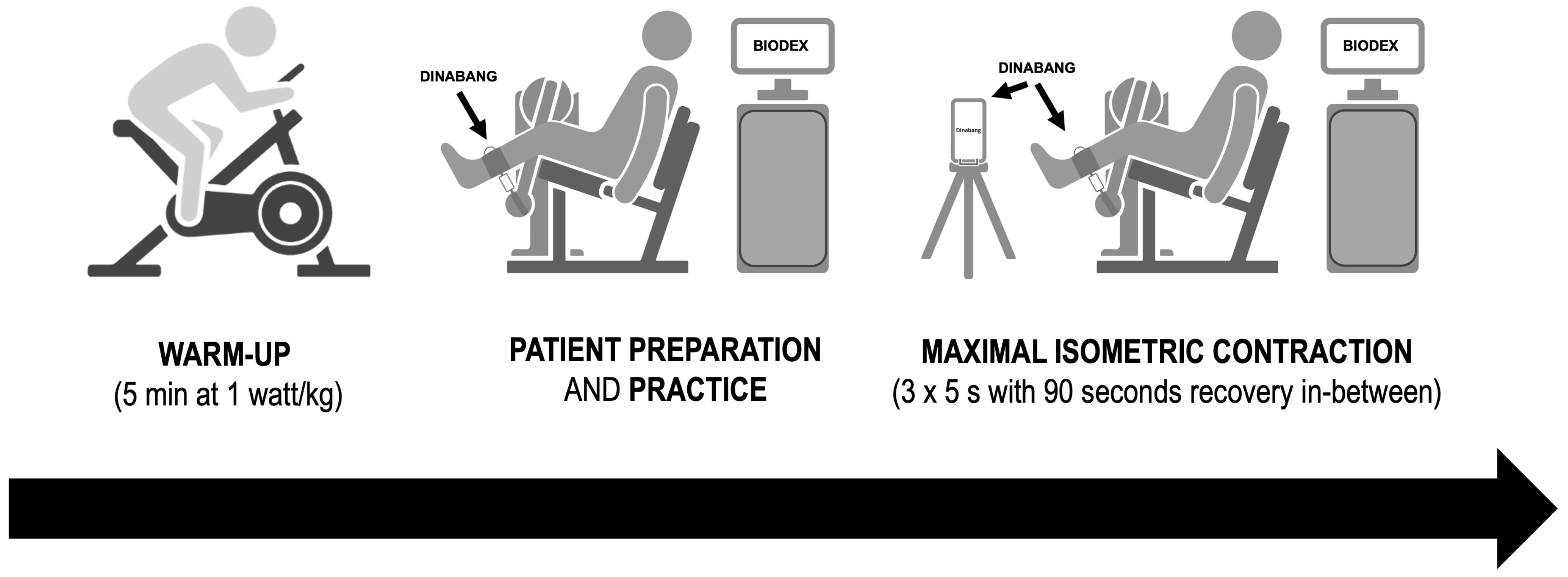 Sports 12 00268 g001