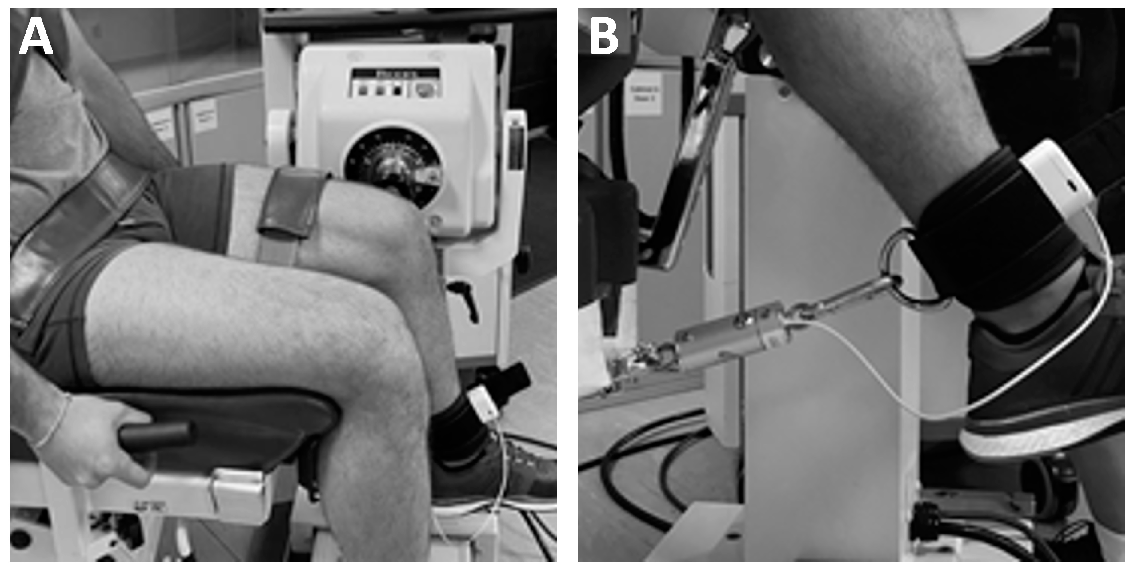 Sports 12 00268 g002