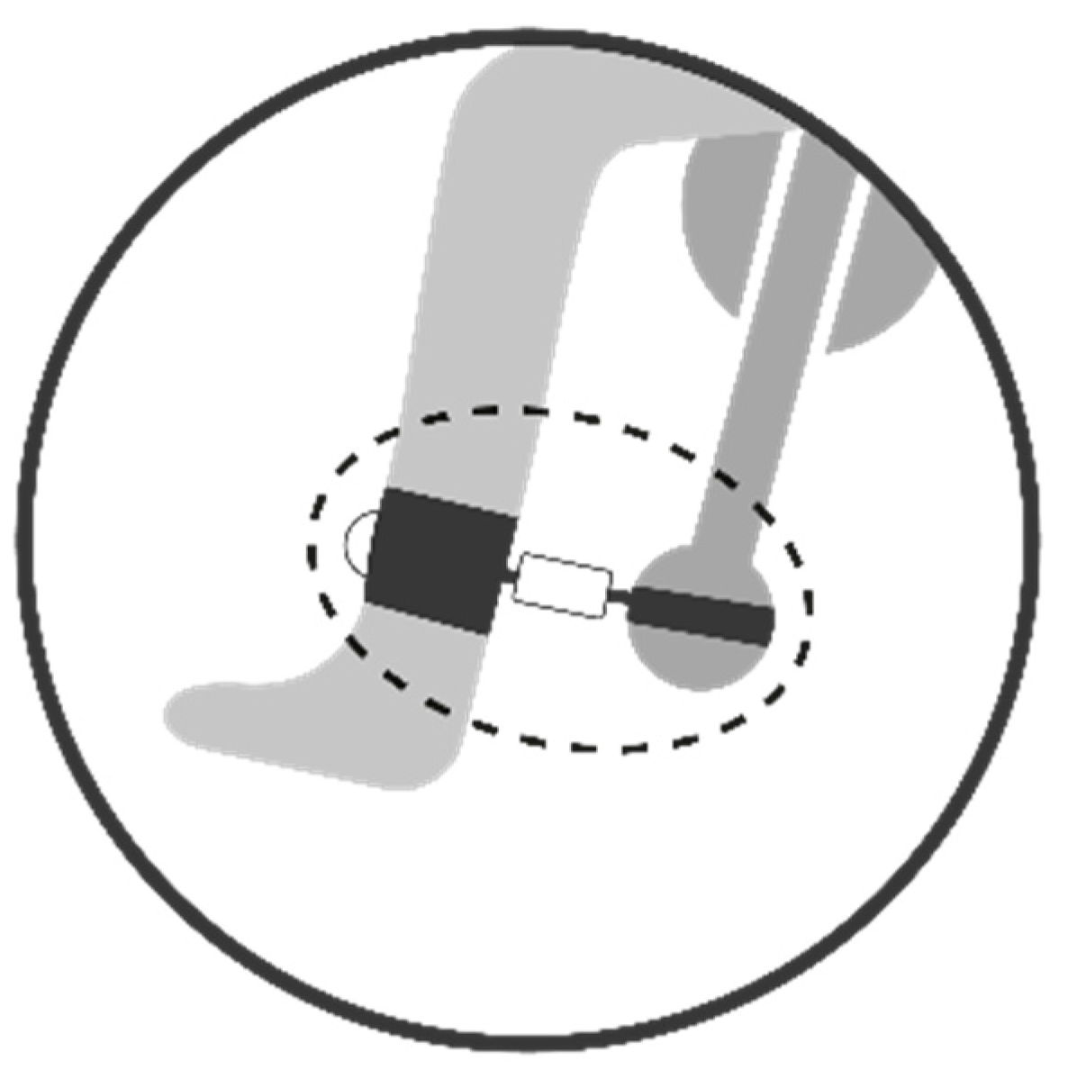 Sports 12 00268 g003