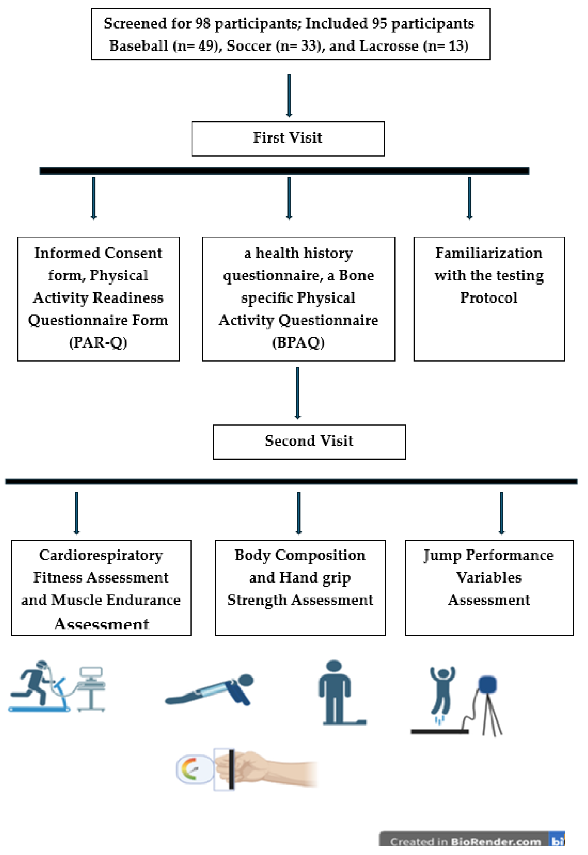 Sports 12 00288 g001