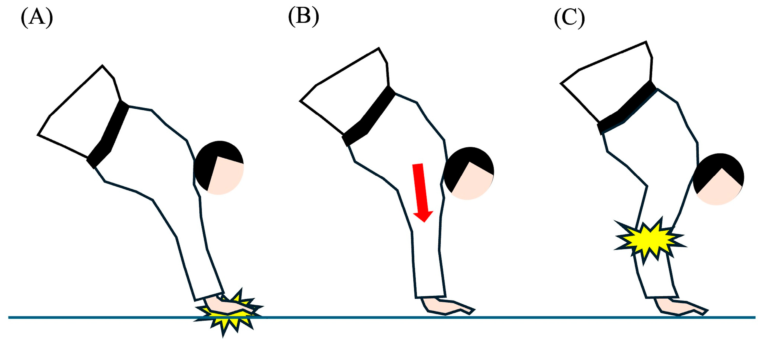 Sports 12 00289 g002