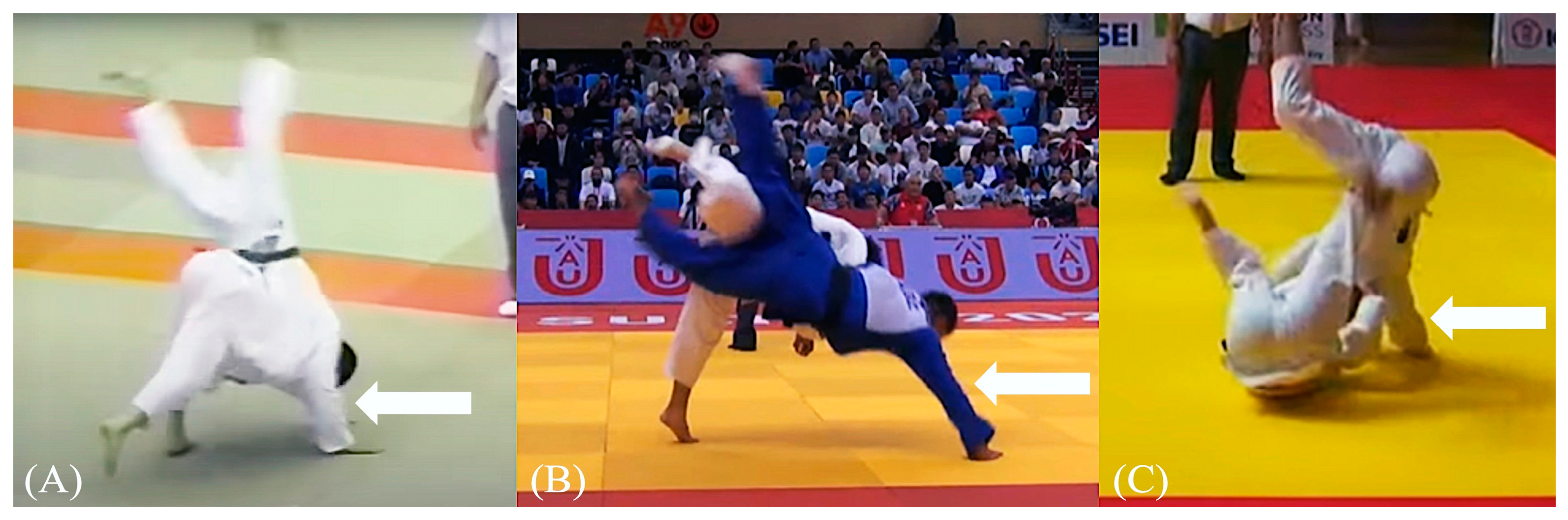 Sports 12 00289 g008