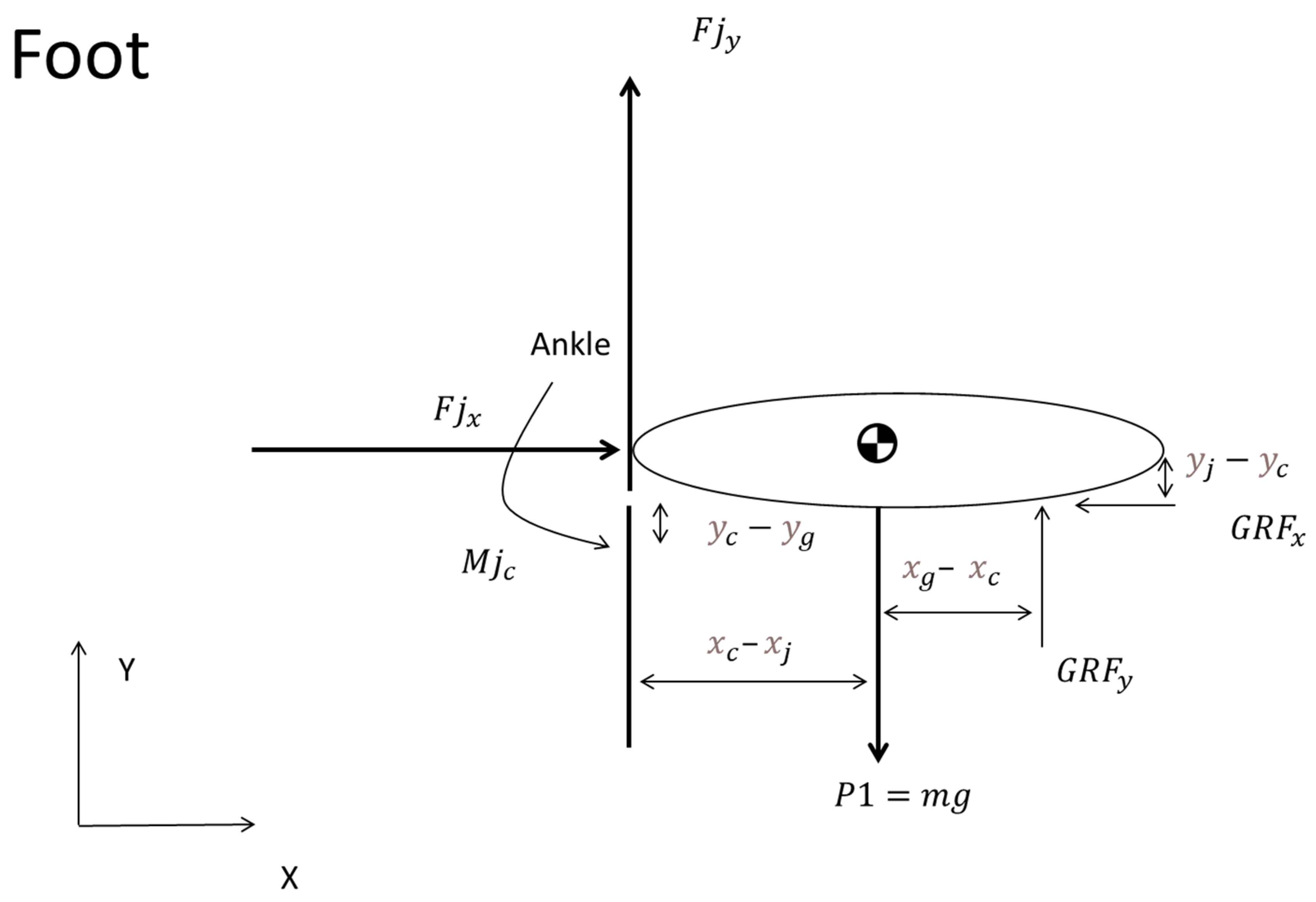Sports 12 00317 g006