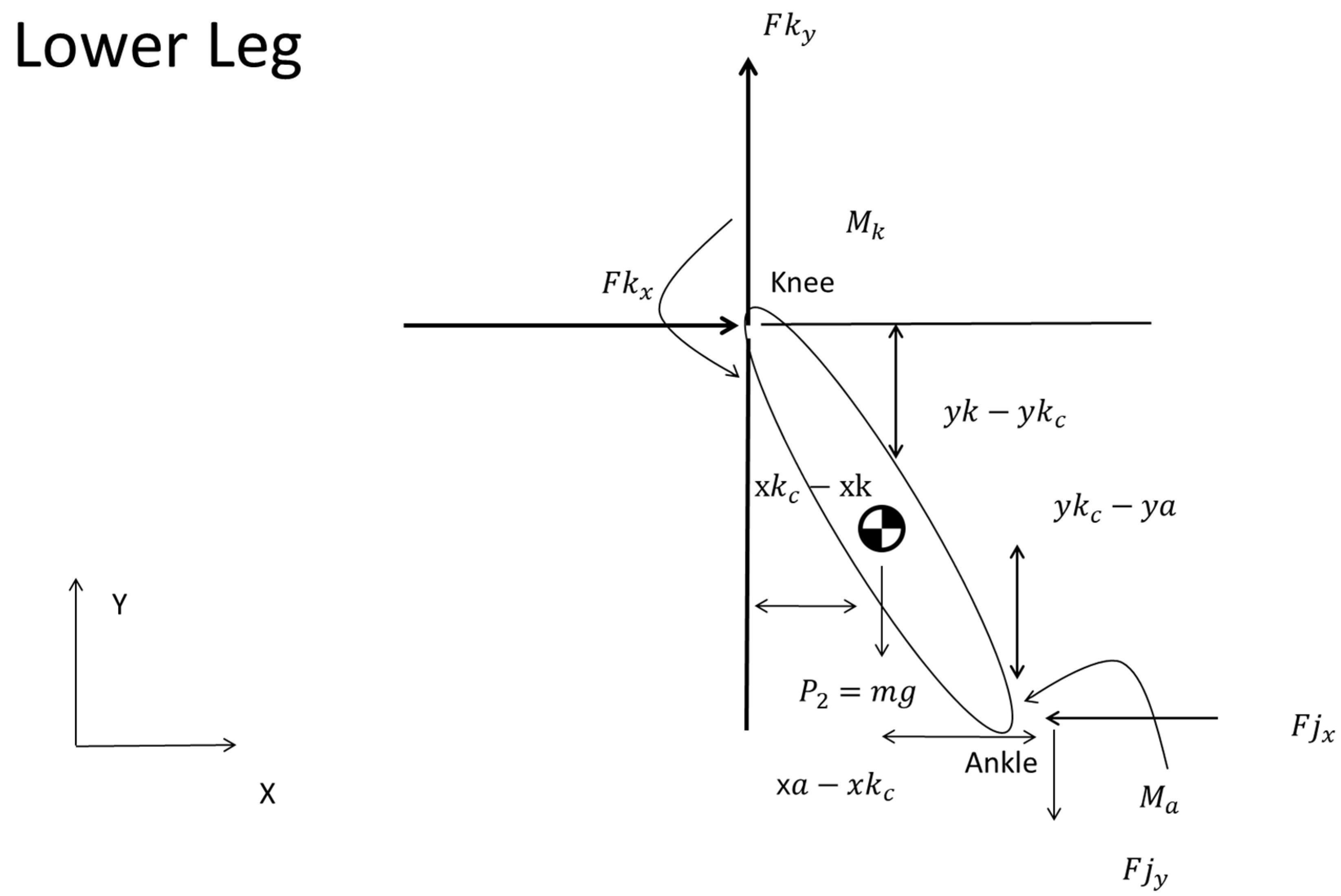 Sports 12 00317 g007