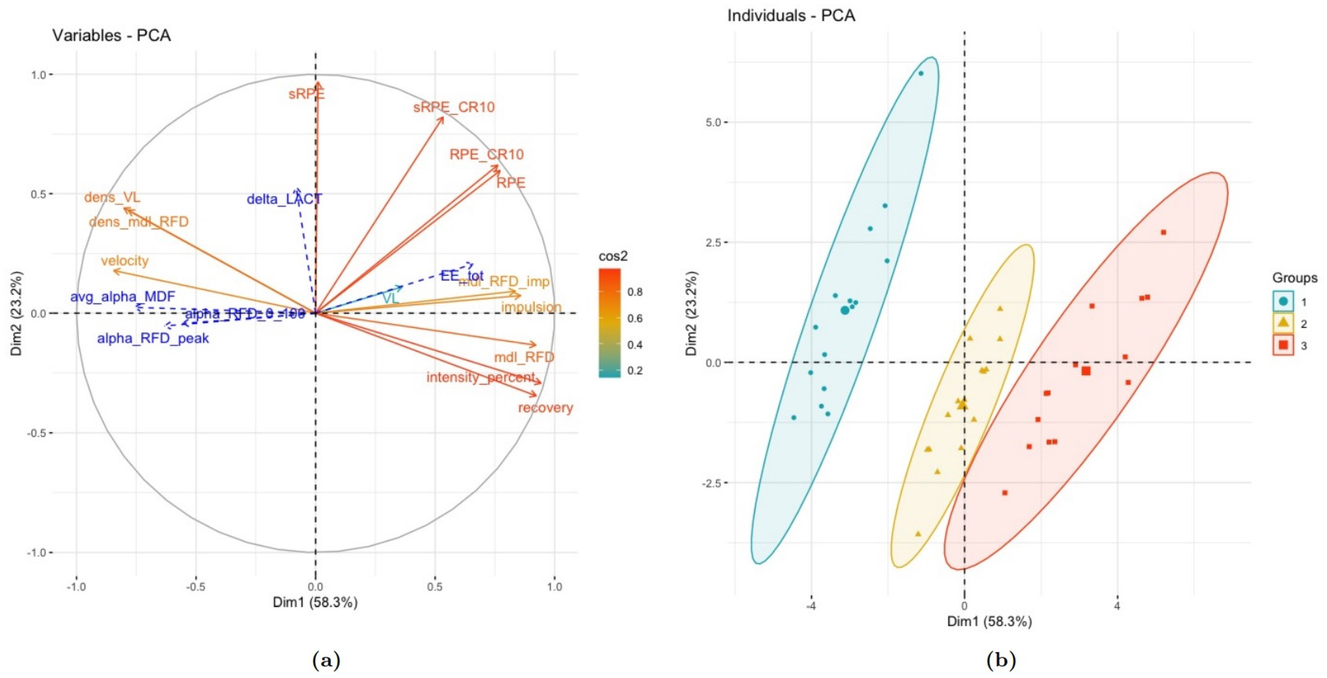 Sports 13 00013 g005