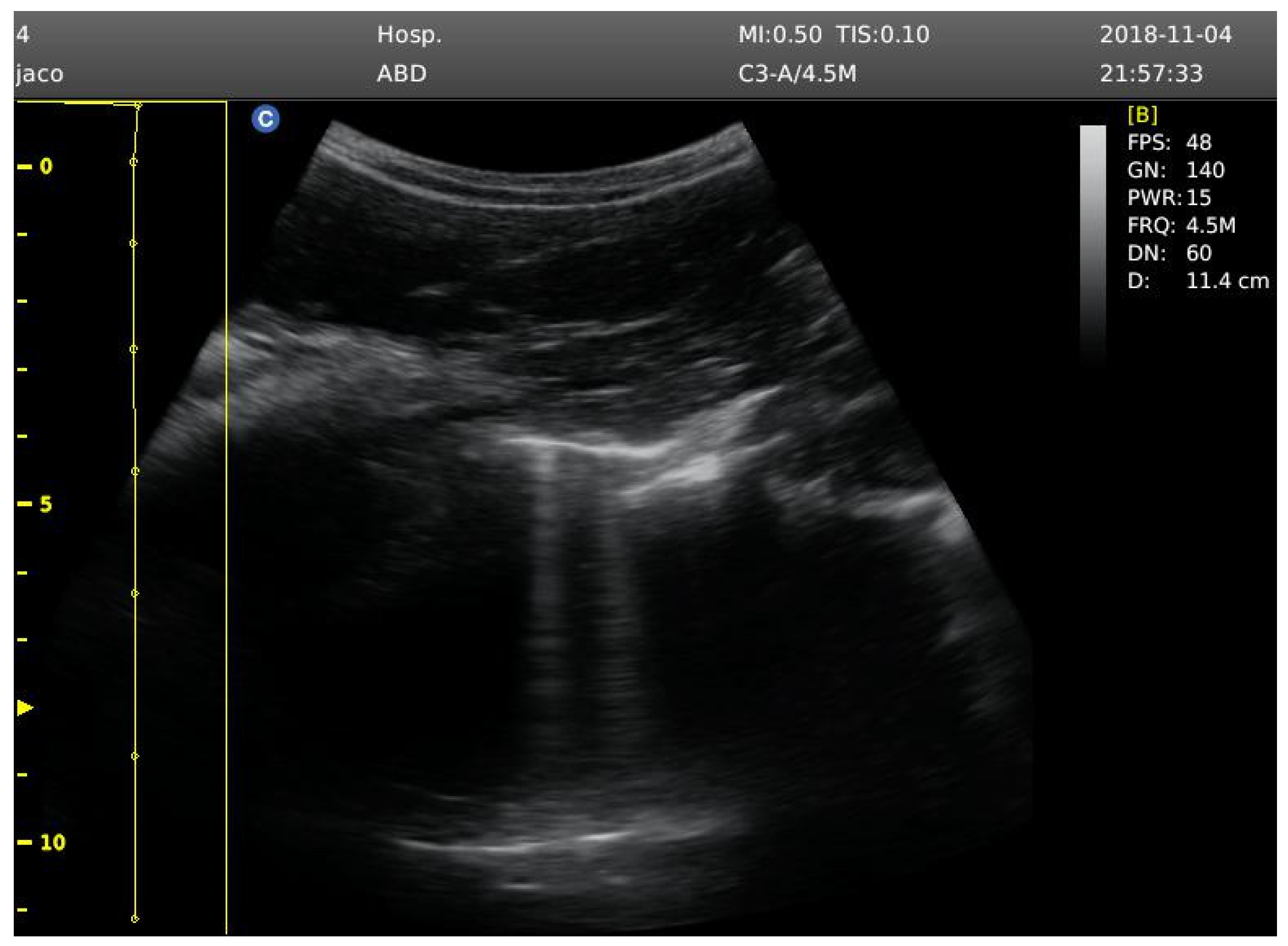 Sports 13 00024 g001