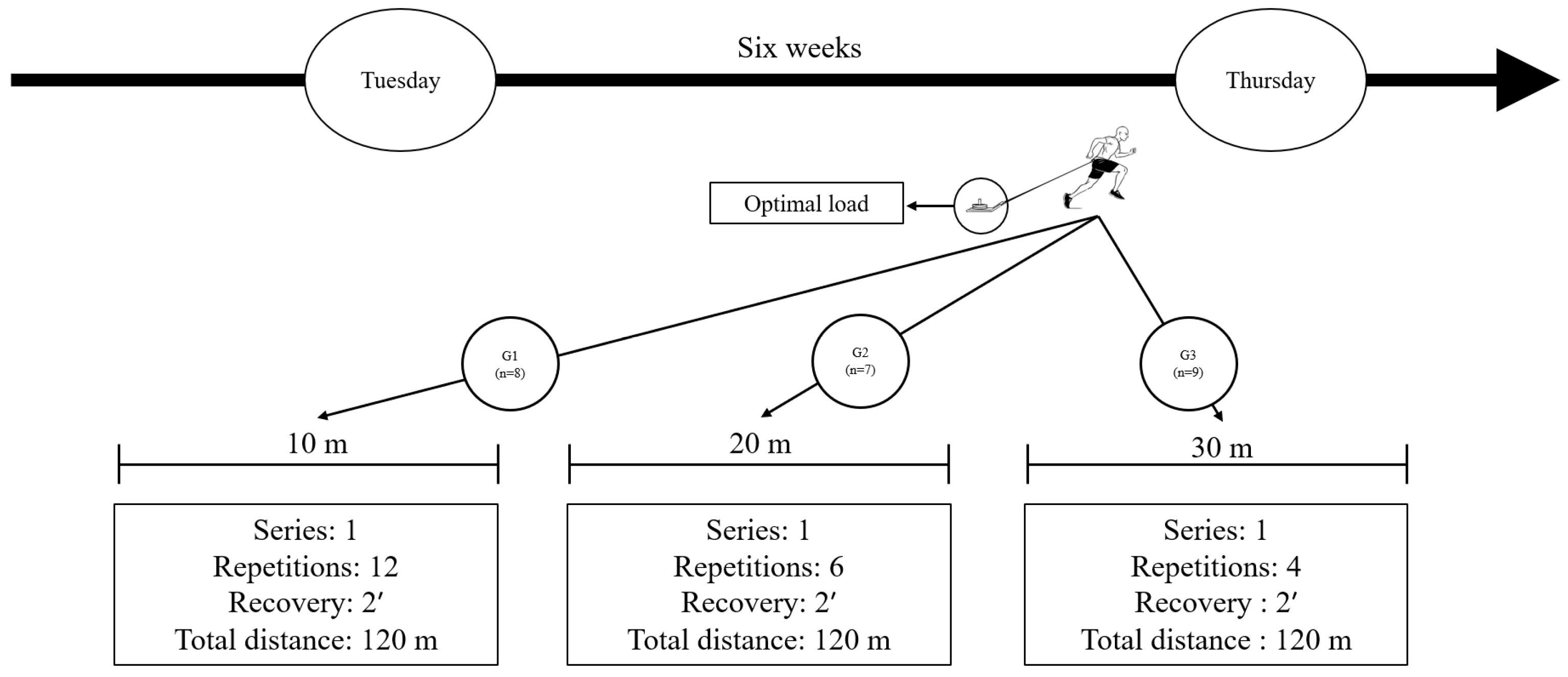 Sports 13 00026 g002 Sports 13 00026 g002