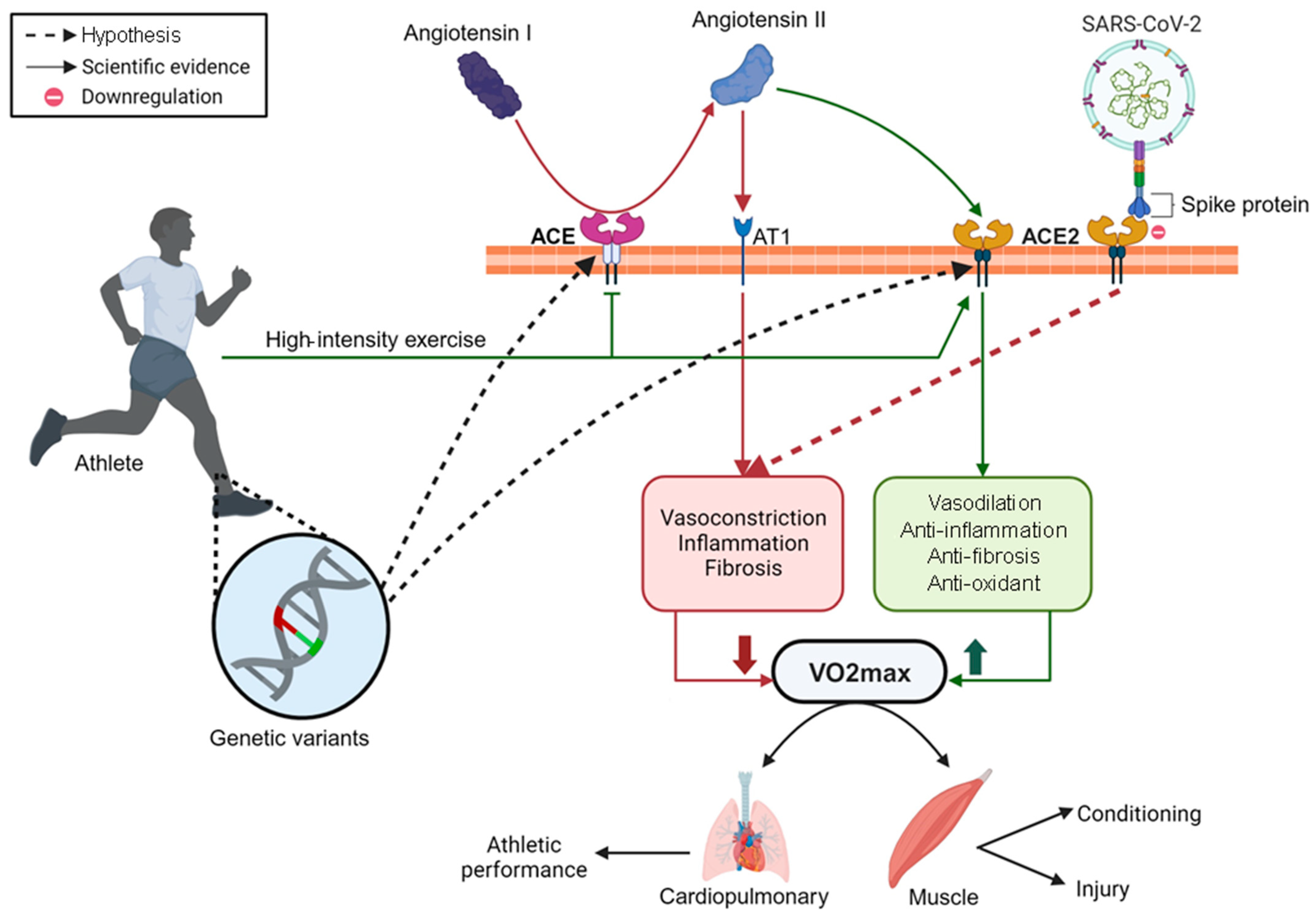 Sports 13 00040 g004