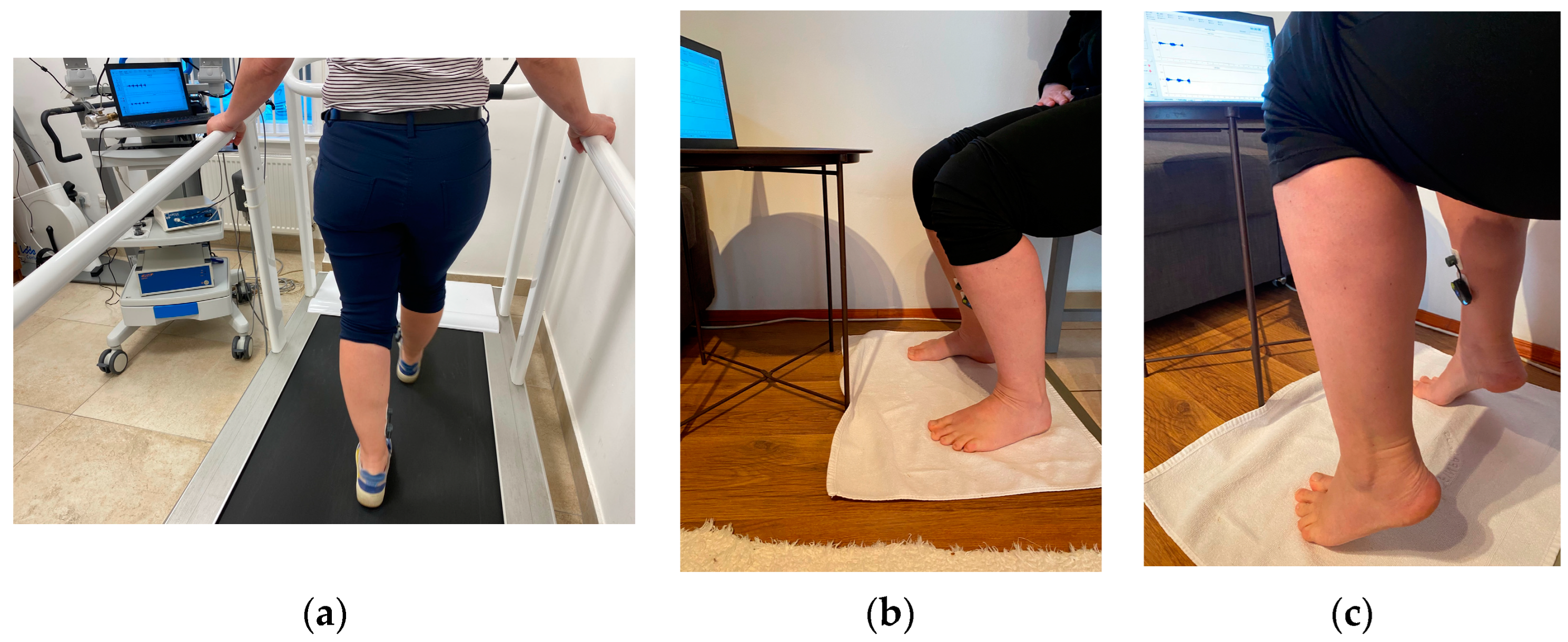 Sports 13 00081 g002