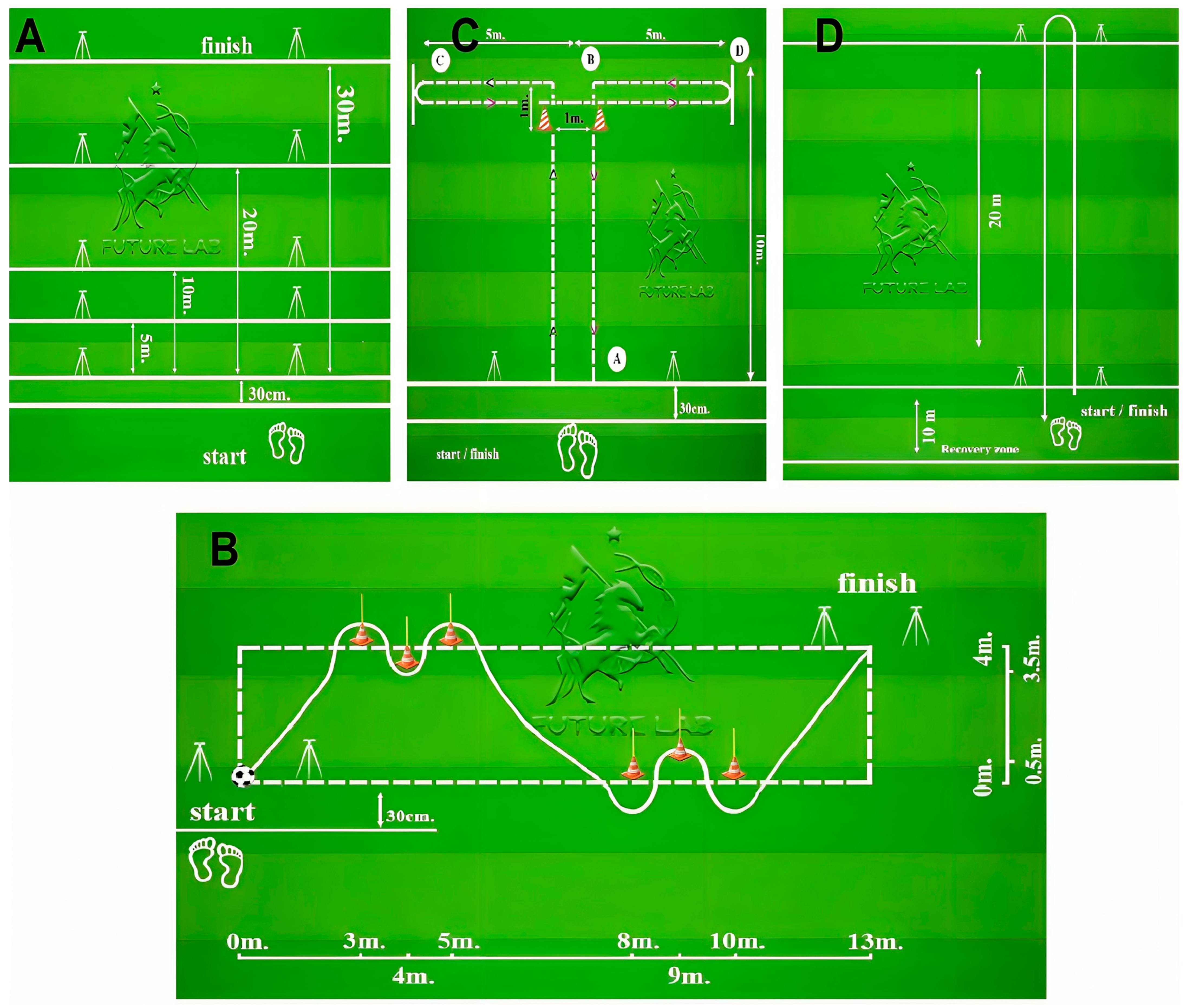 Sports 13 00106 g001