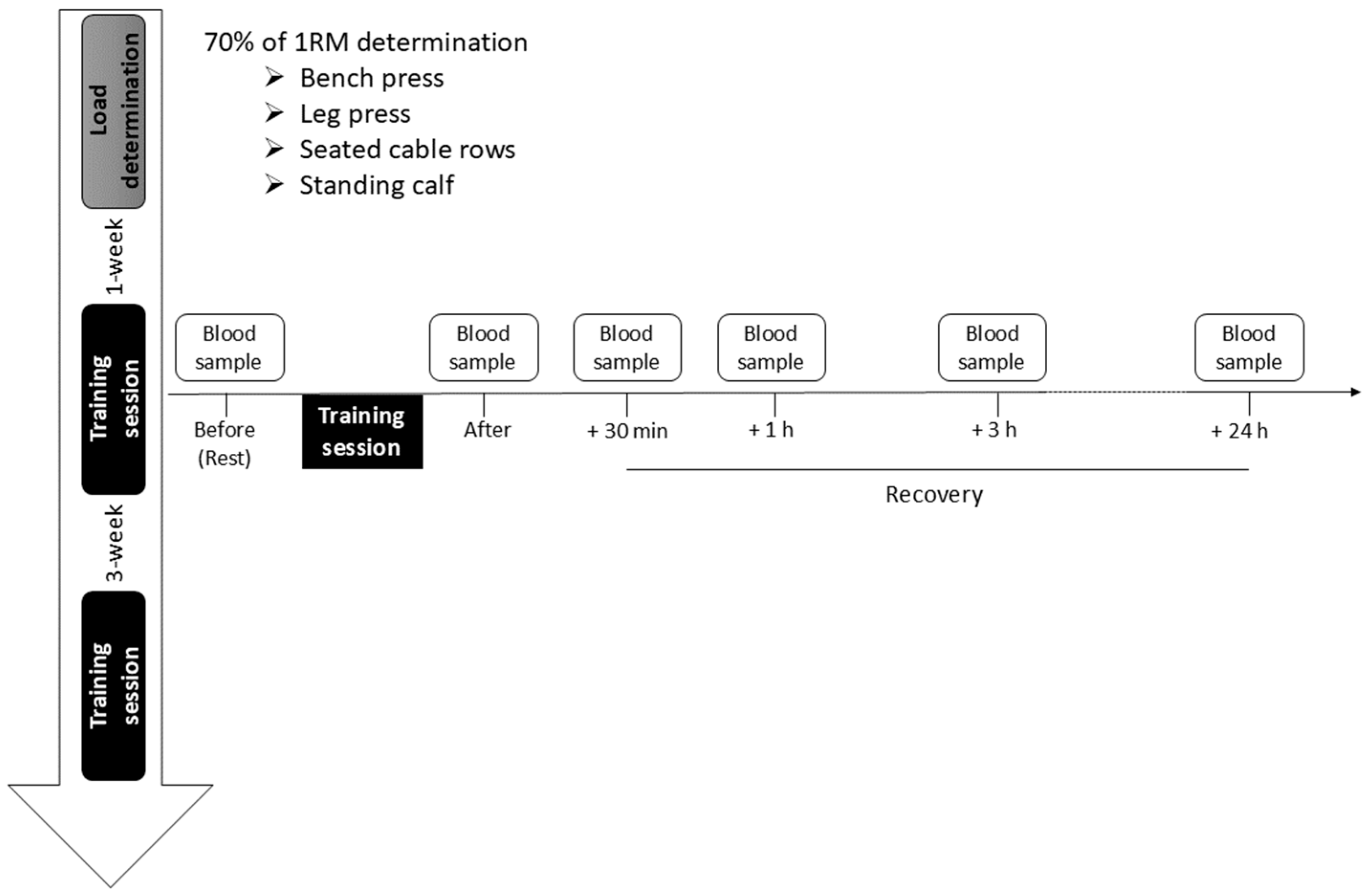 Sports 13 00111 g001