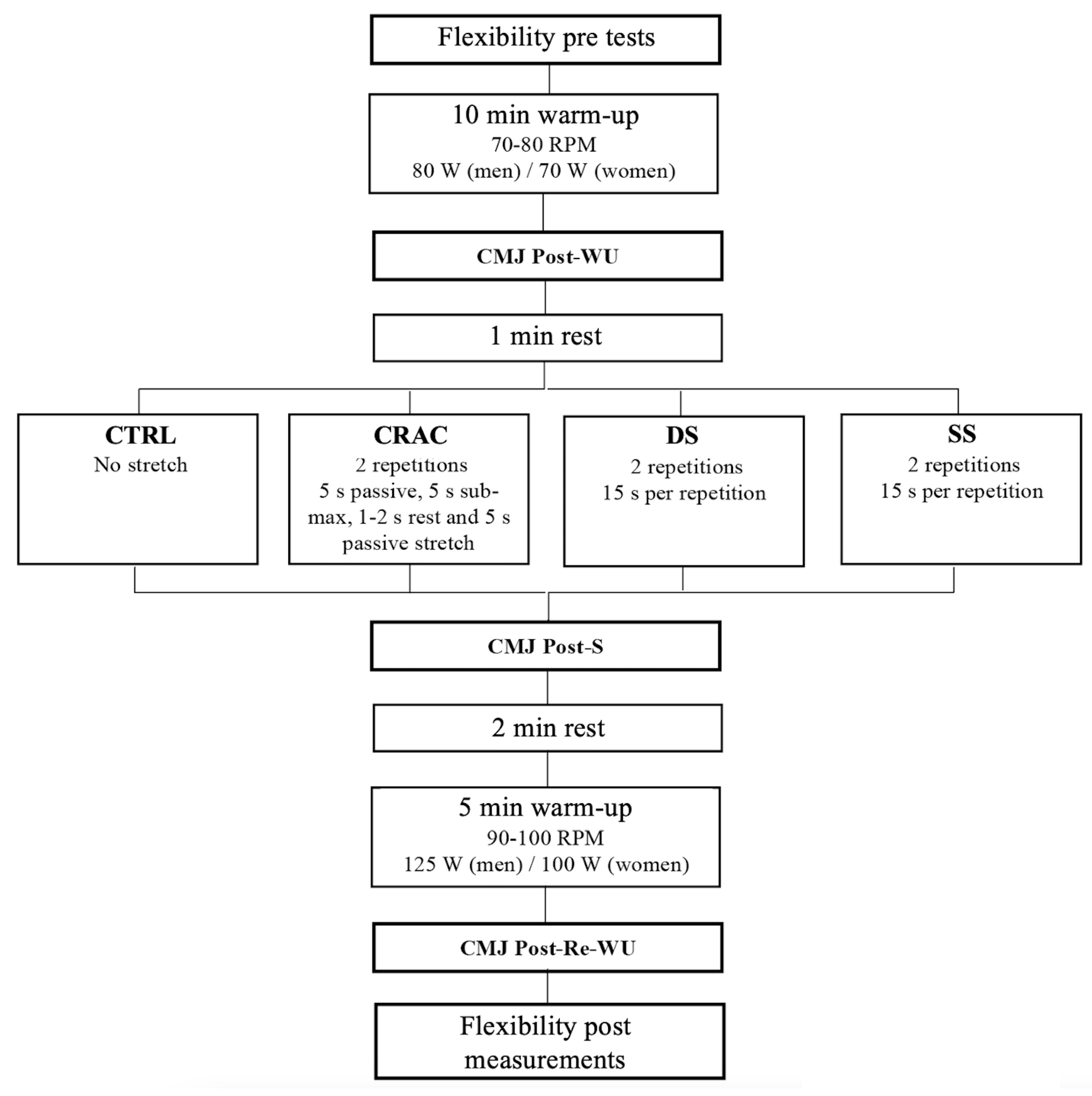 Sports 13 00115 g001