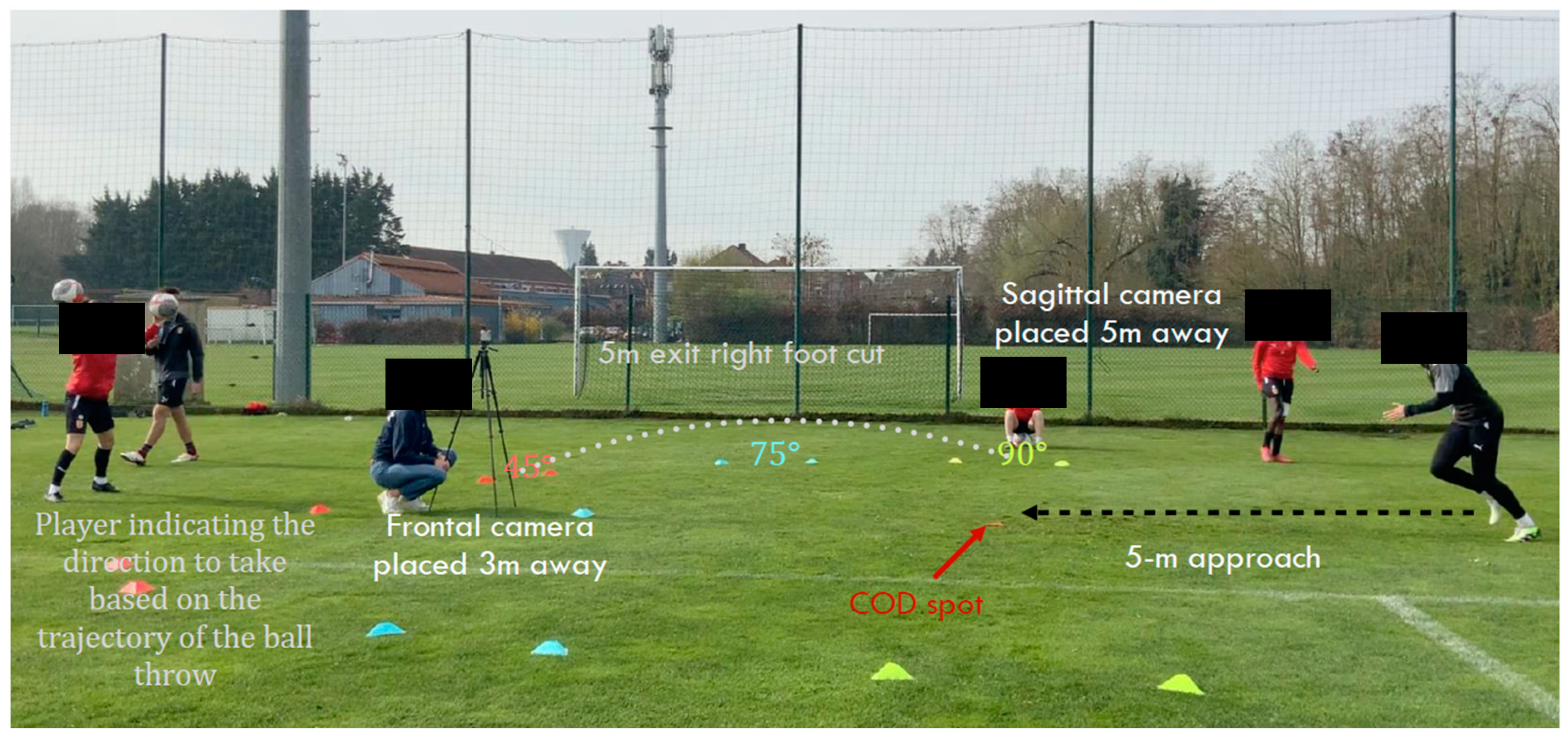 Sports 13 00135 g001