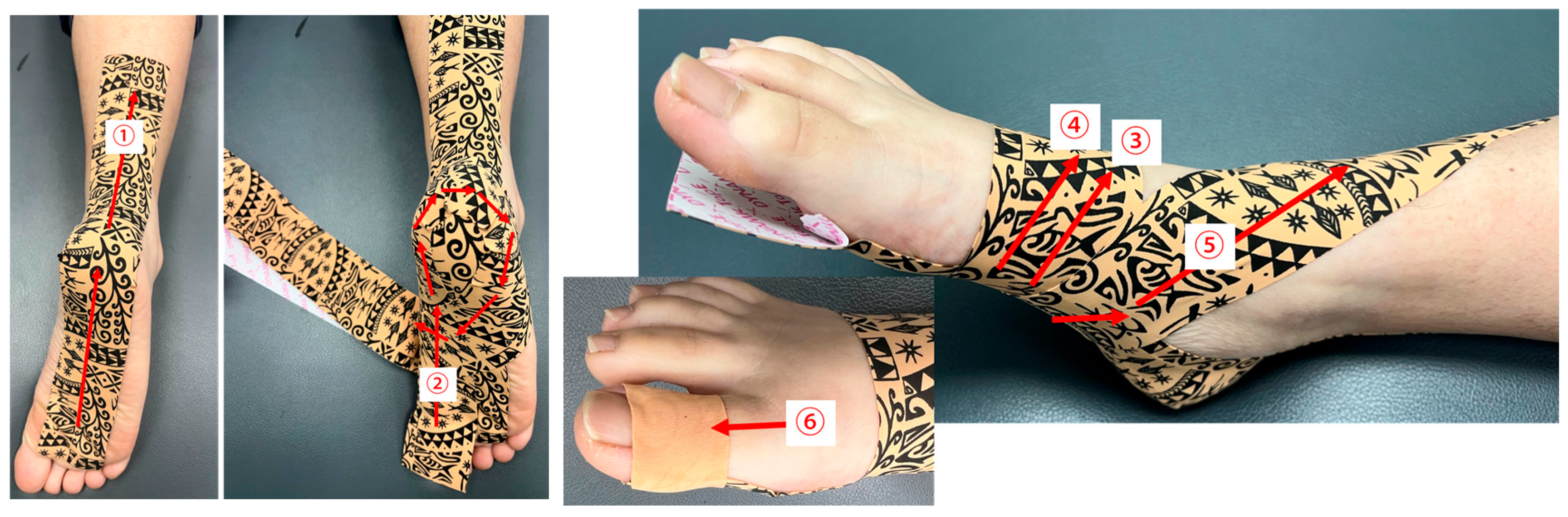 Sports 13 00138 g001