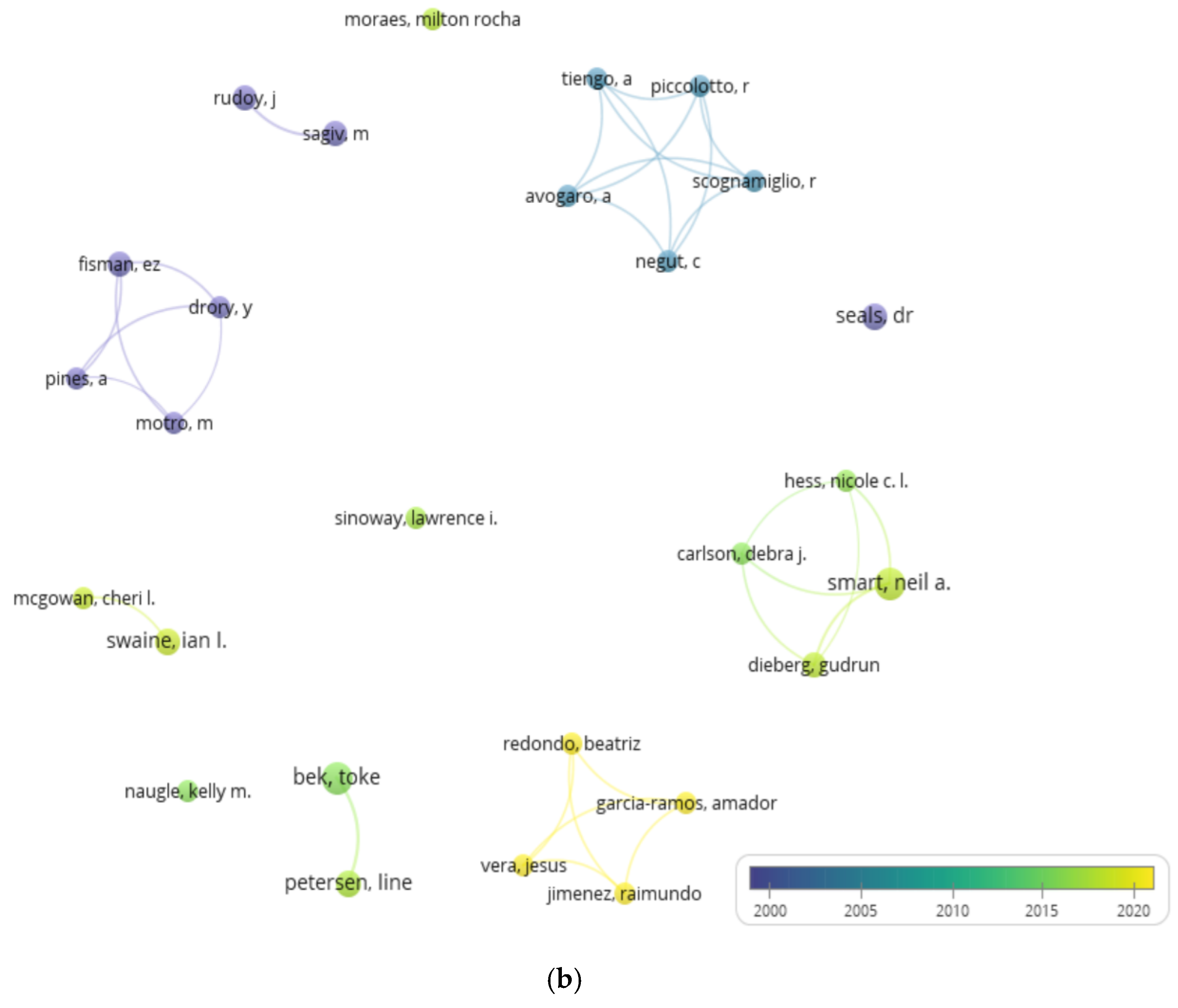 Sports 13 00145 g003b Sports 13 00145 g003b