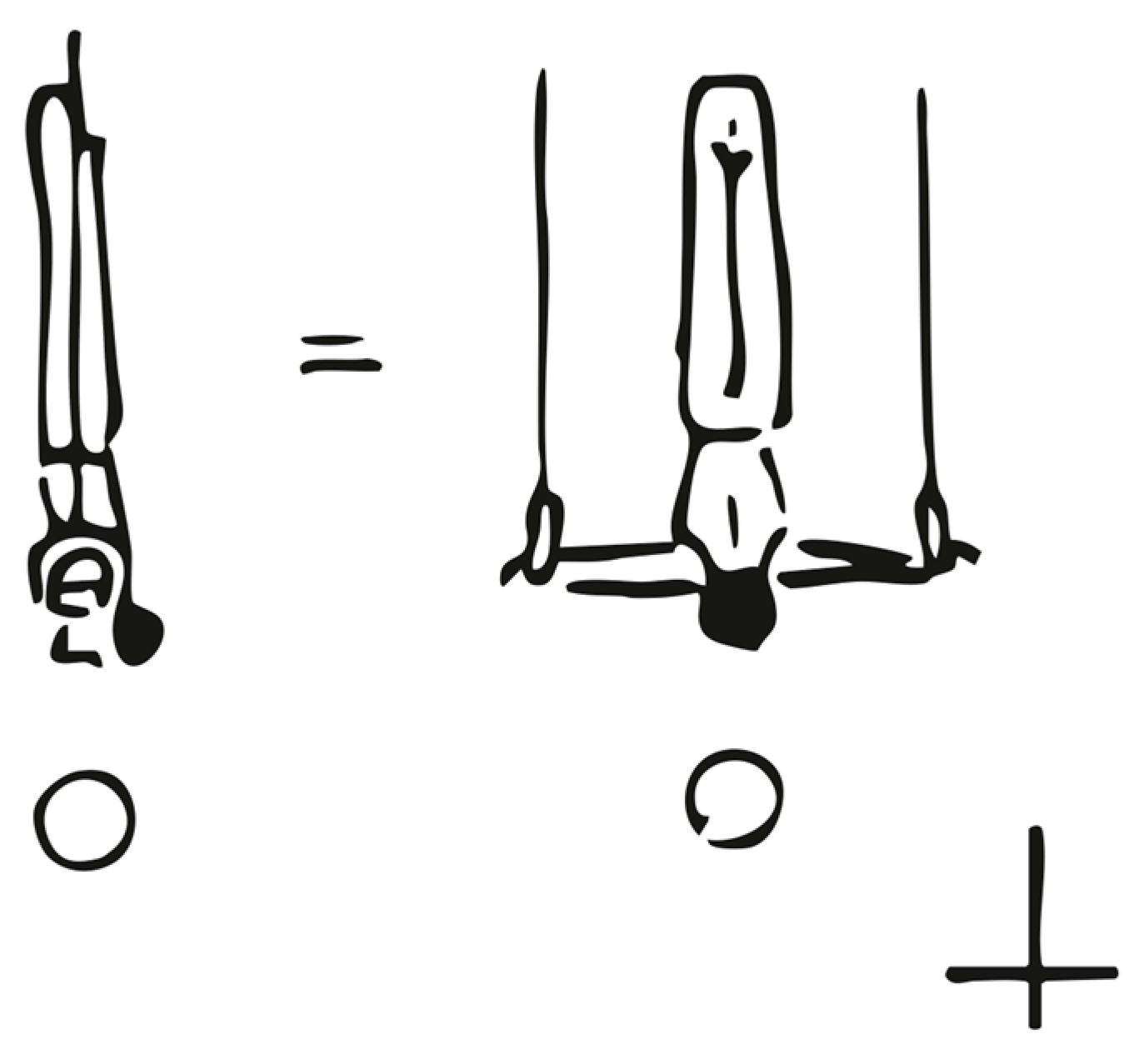 Sports 13 00146 g001