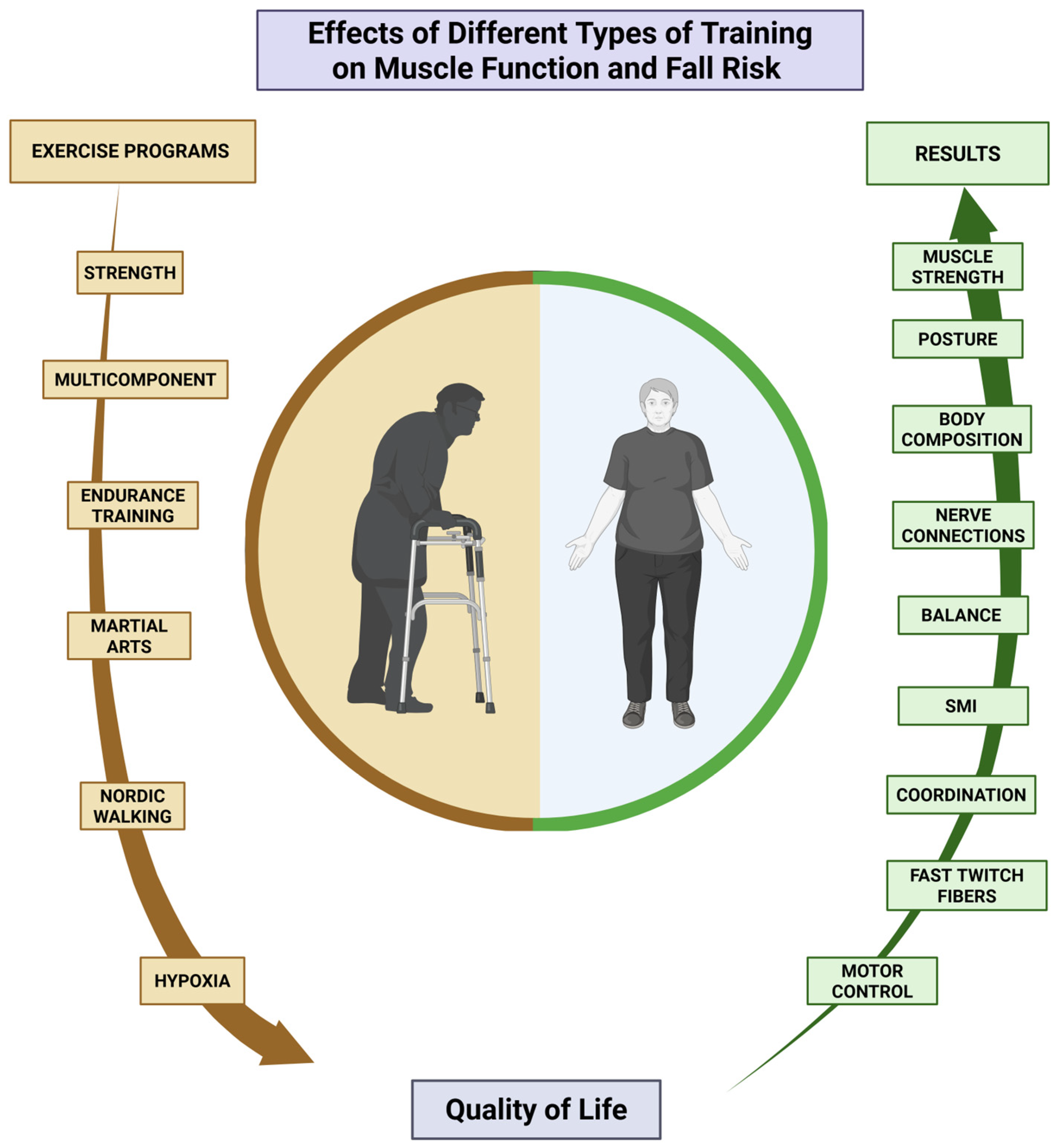 Sports 13 00152 g002