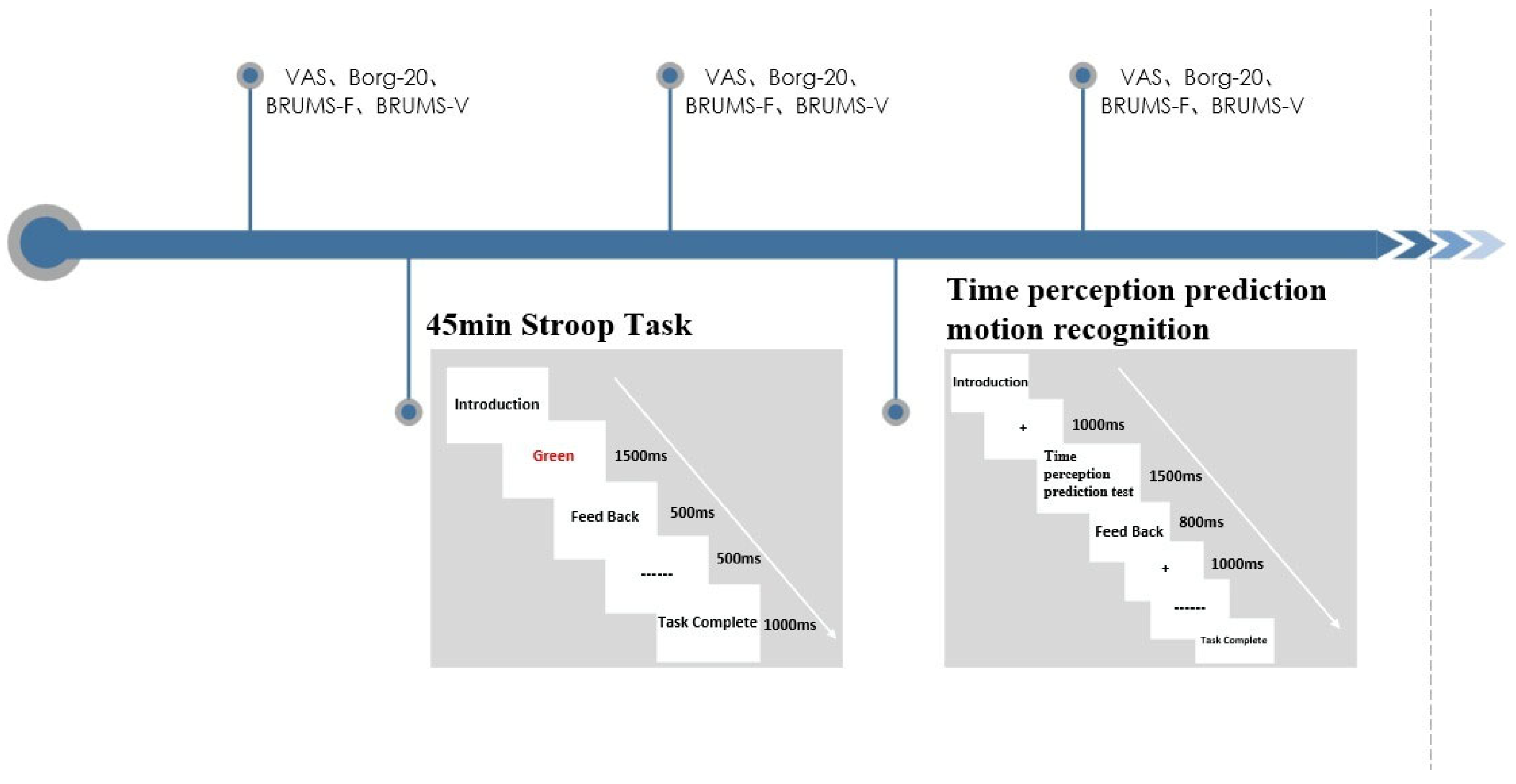 Sports 13 00154 g001