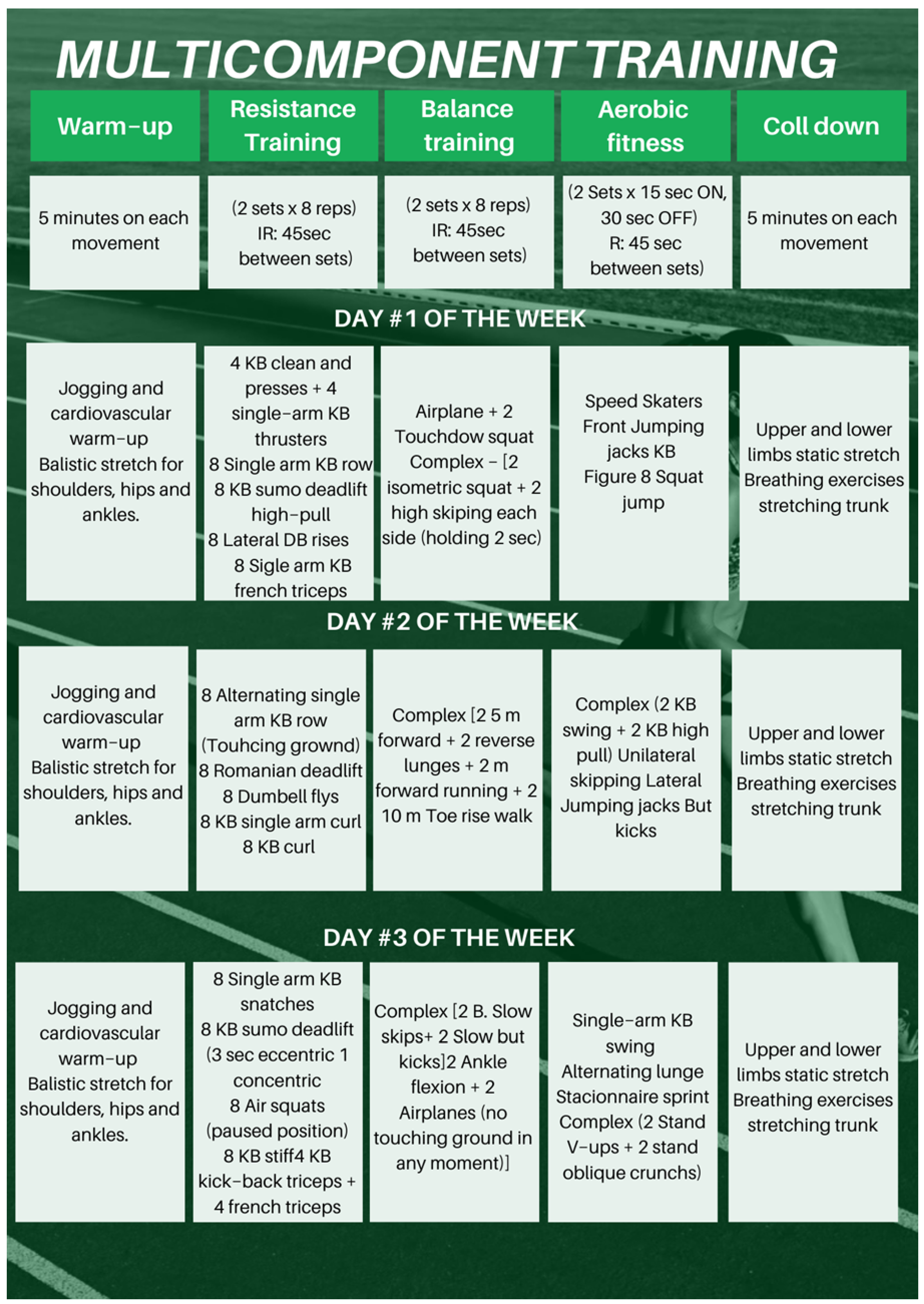 Sports 13 00159 g002